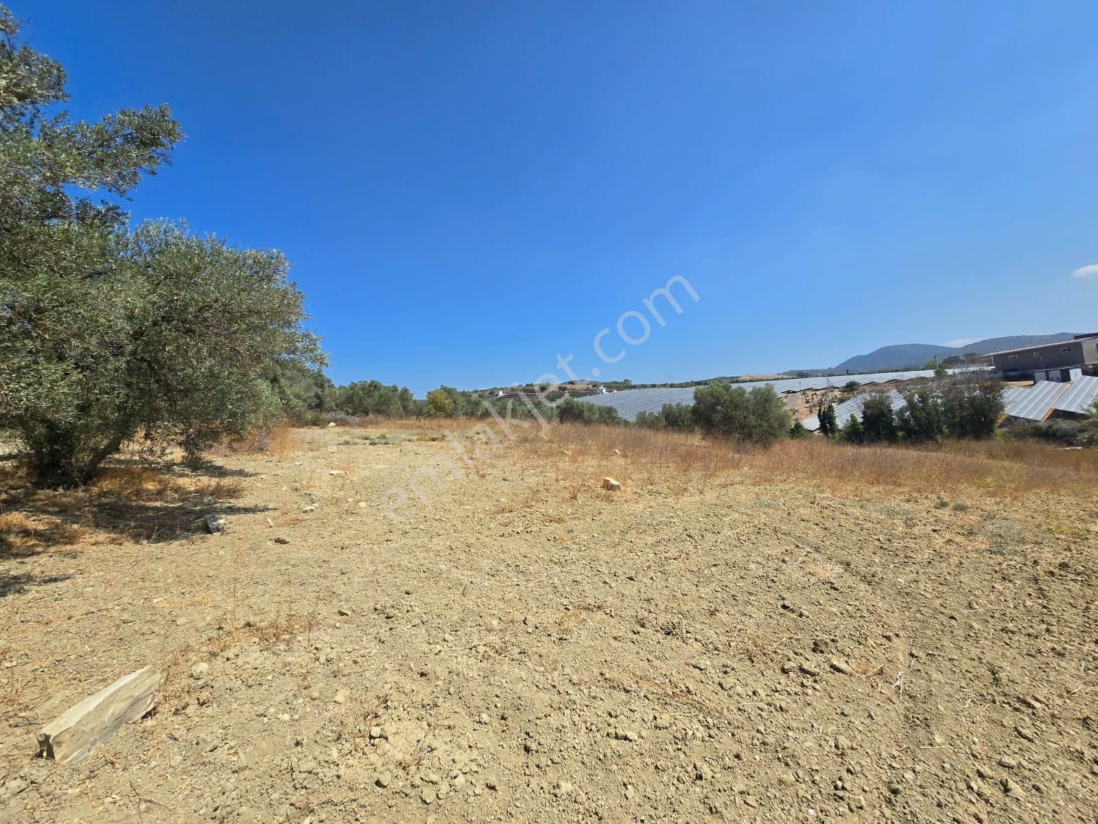 İmara Yakın-kısmi Manzaralı-merkeze 5 Dk Mesafede-yatırımlık Kacırılmayacak 12 Dönüm Zeytınlik - Görsel 22