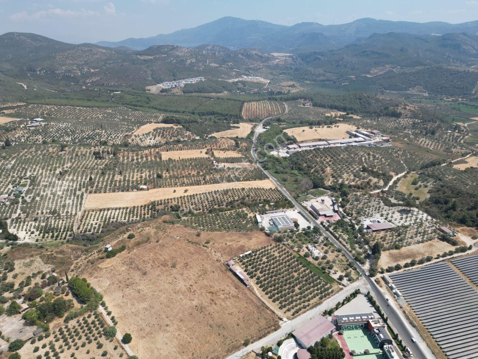 İmara Yakın-kısmi Manzaralı-merkeze 5 Dk Mesafede-yatırımlık Kacırılmayacak 12 Dönüm Zeytınlik - Görsel 8