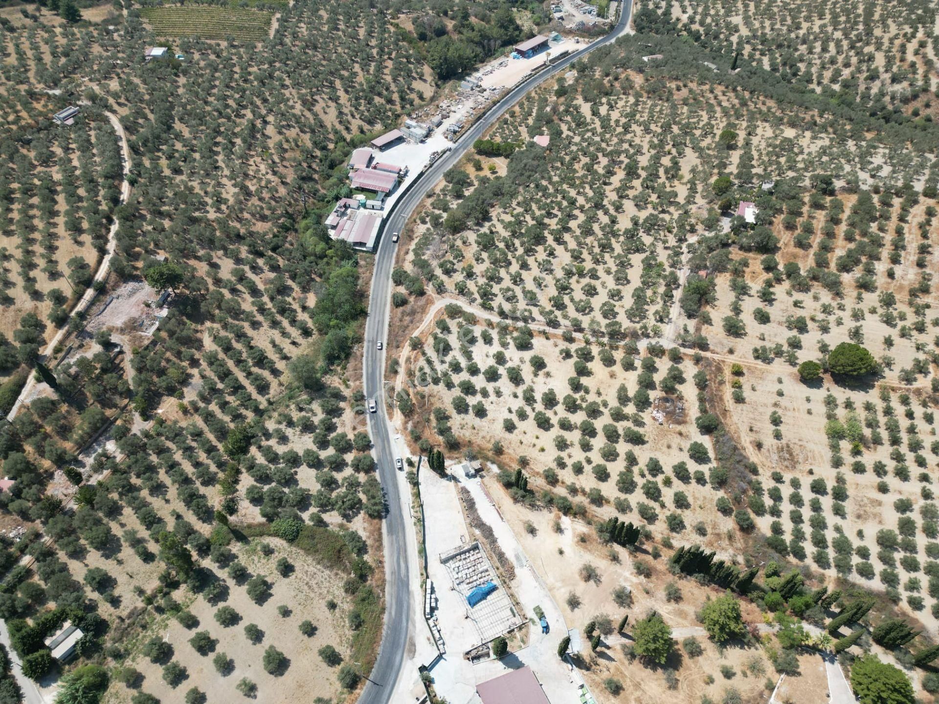 İmara Yakın-kısmi Manzaralı-merkeze 5 Dk Mesafede-yatırımlık Kacırılmayacak 12 Dönüm Zeytınlik - Görsel 12