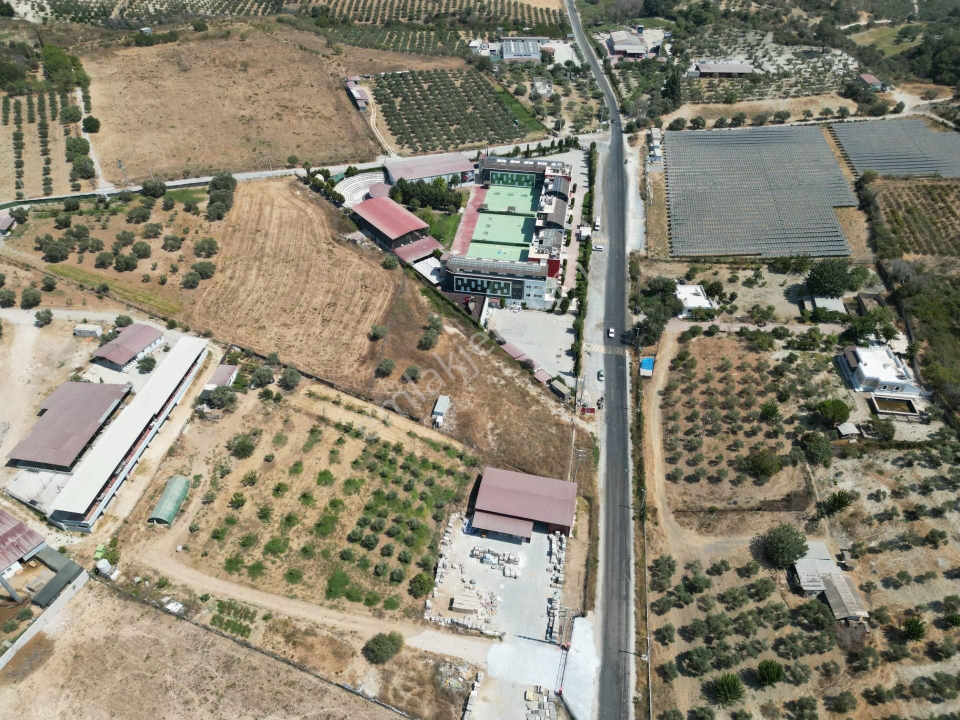 İmara Yakın-kısmi Manzaralı-merkeze 5 Dk Mesafede-yatırımlık Kacırılmayacak 12 Dönüm Zeytınlik - Görsel 18