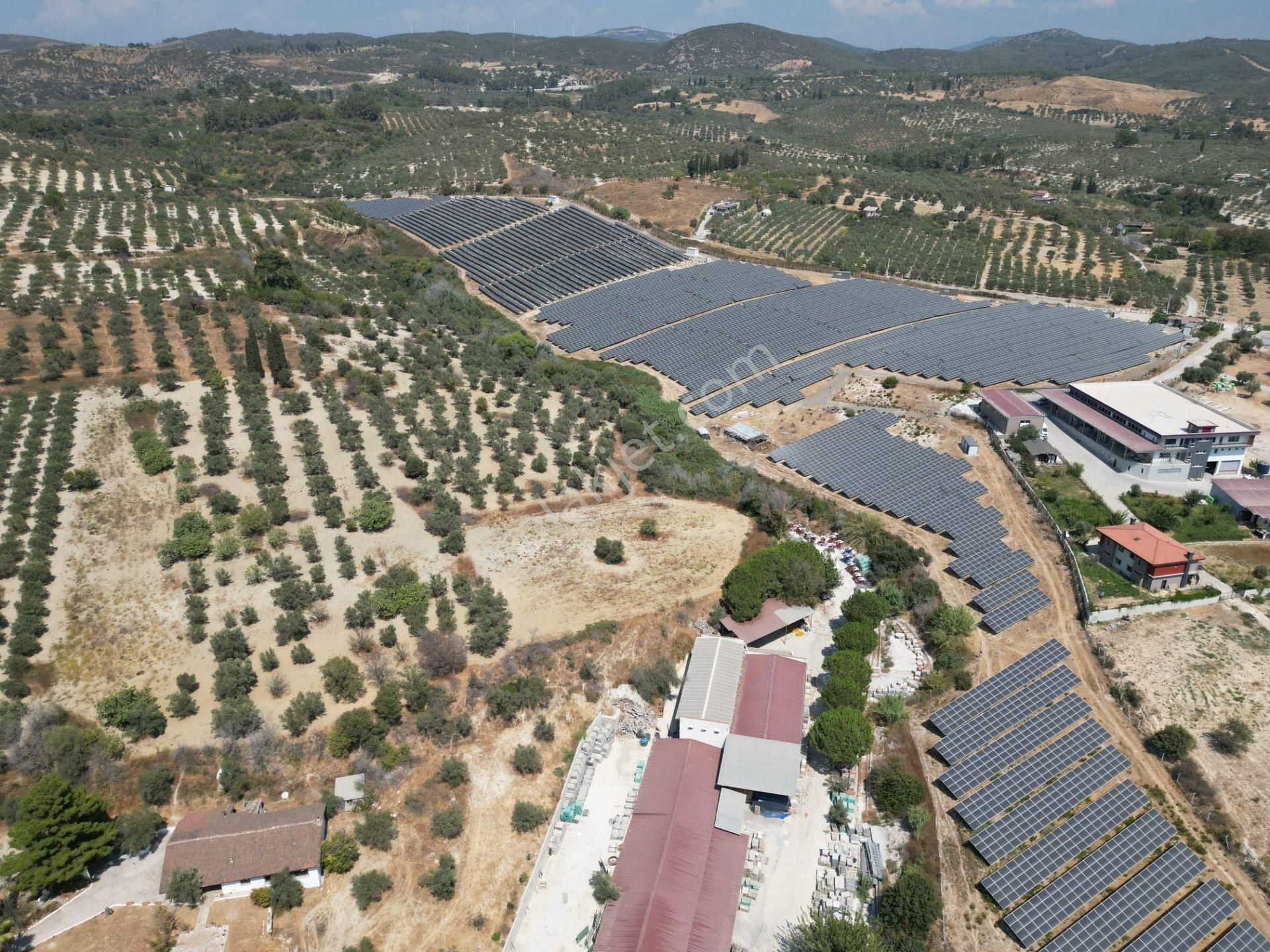 İmara Yakın-kısmi Manzaralı-merkeze 5 Dk Mesafede-yatırımlık Kacırılmayacak 12 Dönüm Zeytınlik - Görsel 31