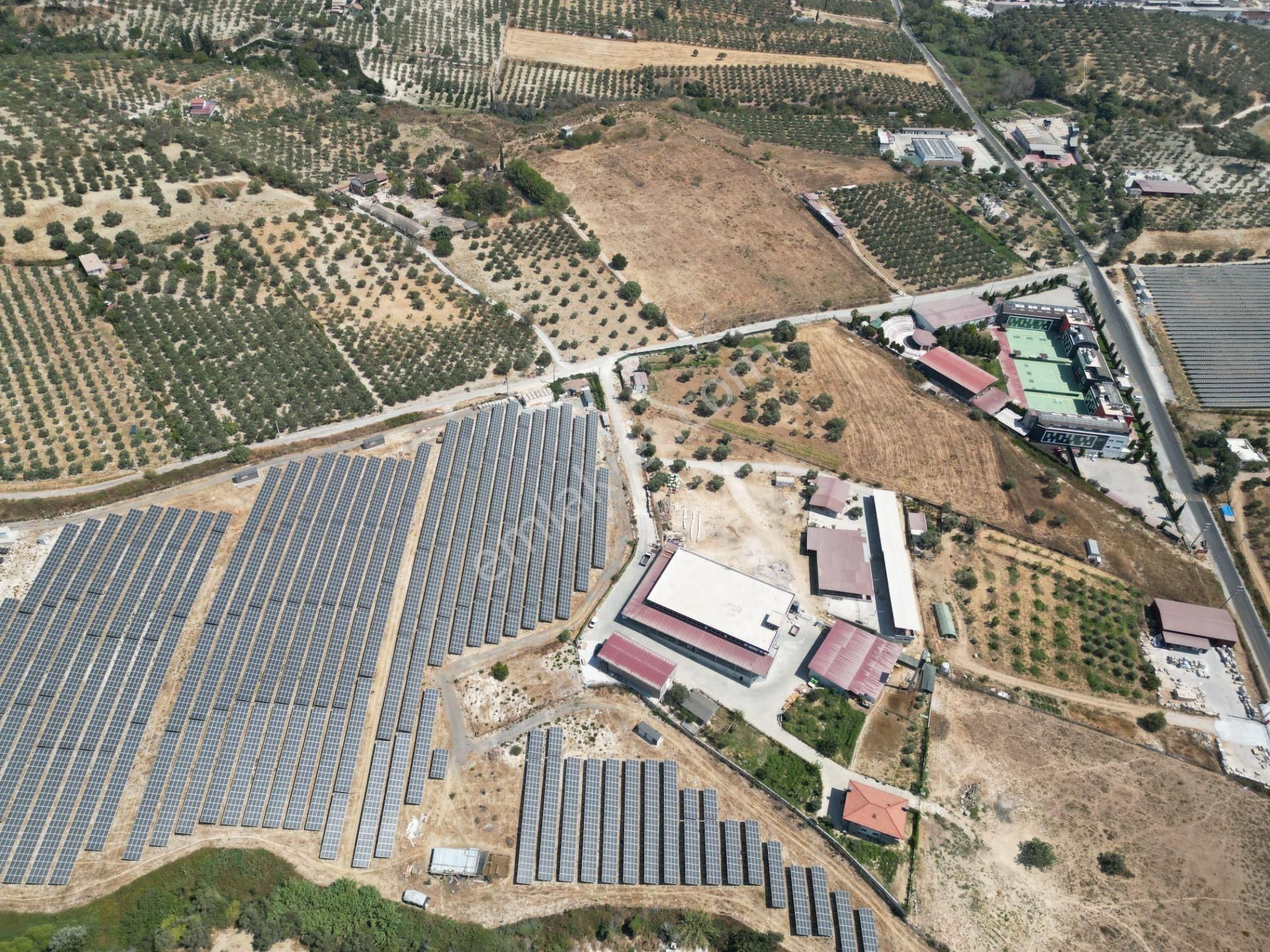 İmara Yakın-kısmi Manzaralı-merkeze 5 Dk Mesafede-yatırımlık Kacırılmayacak 12 Dönüm Zeytınlik - Görsel 20