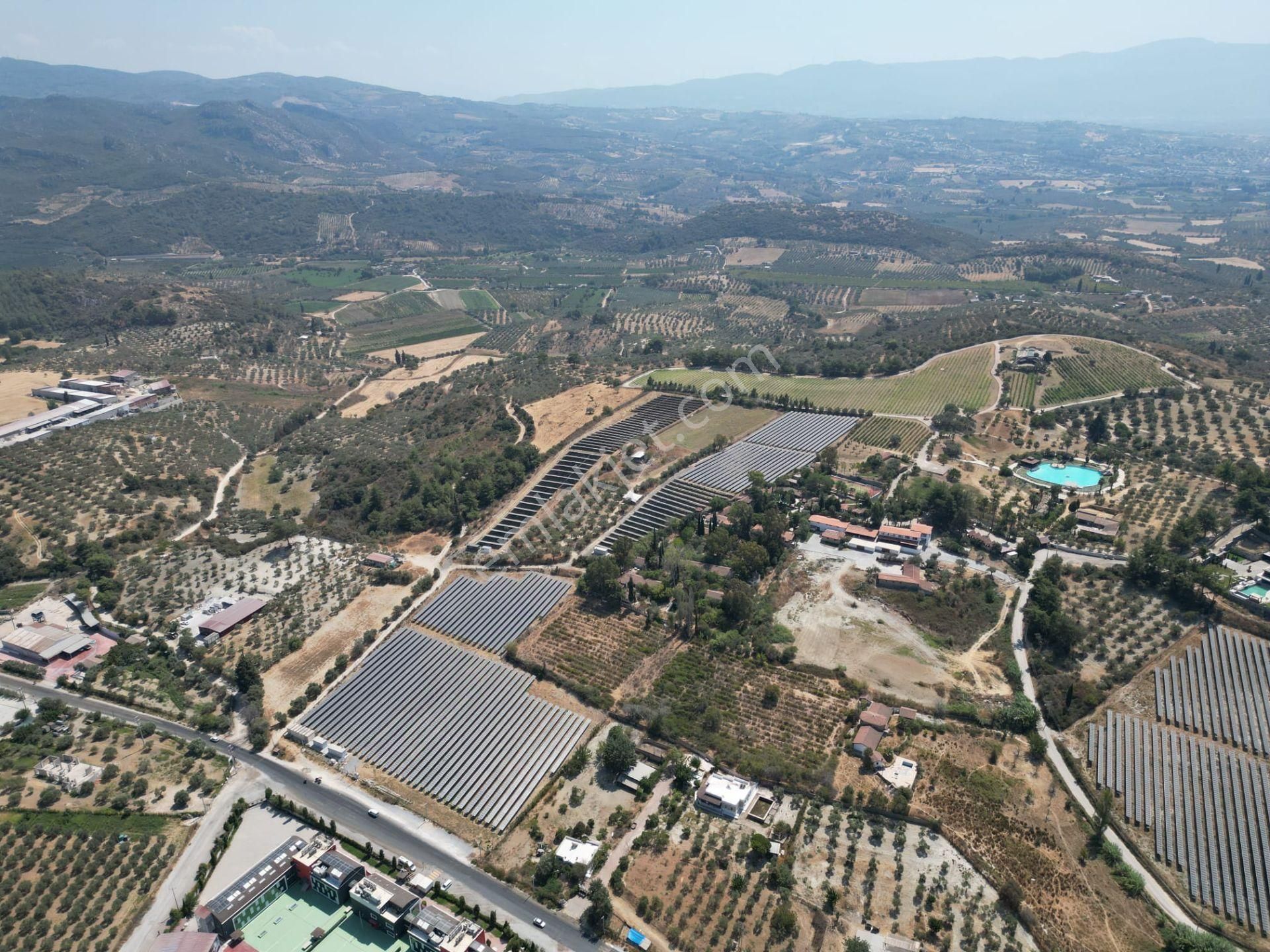 İmara Yakın-kısmi Manzaralı-merkeze 5 Dk Mesafede-yatırımlık Kacırılmayacak 12 Dönüm Zeytınlik - Görsel 6