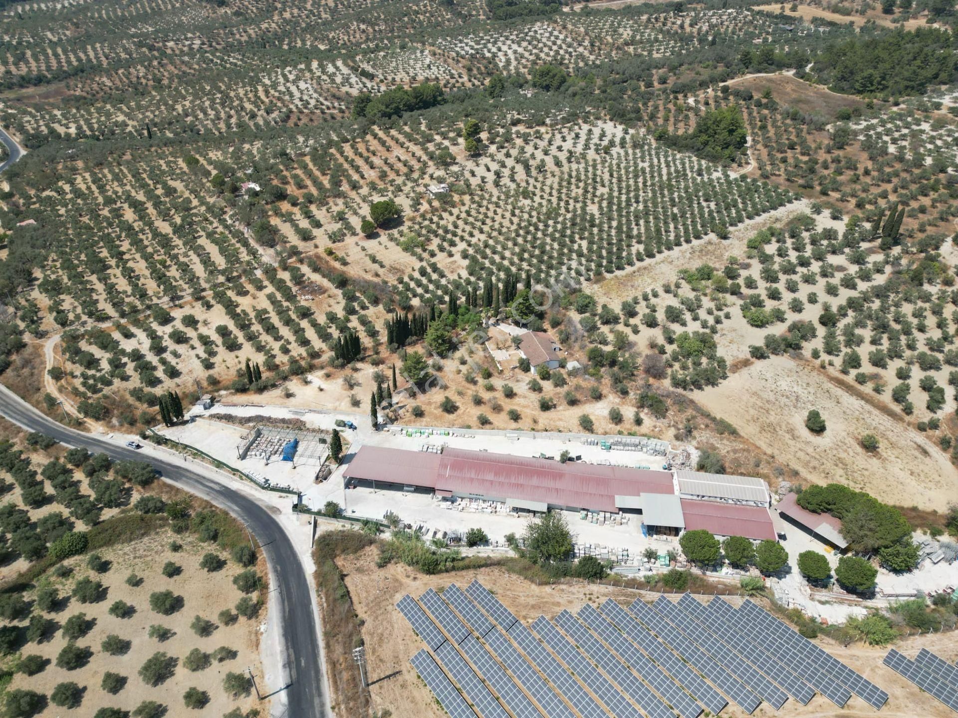 İmara Yakın-kısmi Manzaralı-merkeze 5 Dk Mesafede-yatırımlık Kacırılmayacak 12 Dönüm Zeytınlik - Görsel 19