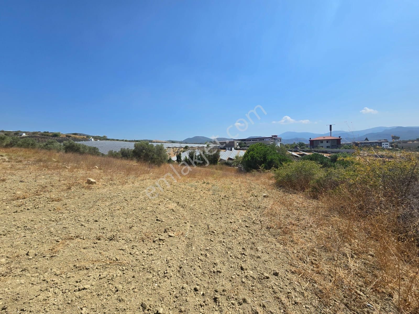 İmara Yakın-kısmi Manzaralı-merkeze 5 Dk Mesafede-yatırımlık Kacırılmayacak 12 Dönüm Zeytınlik - Görsel 23