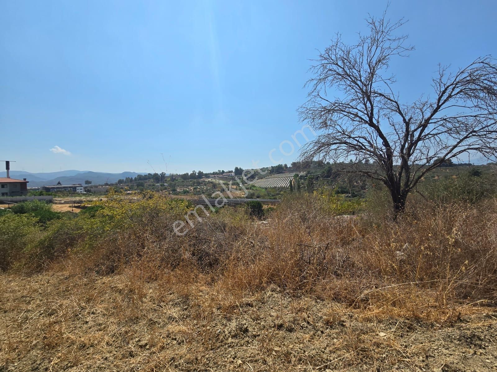 İmara Yakın-kısmi Manzaralı-merkeze 5 Dk Mesafede-yatırımlık Kacırılmayacak 12 Dönüm Zeytınlik - Görsel 24