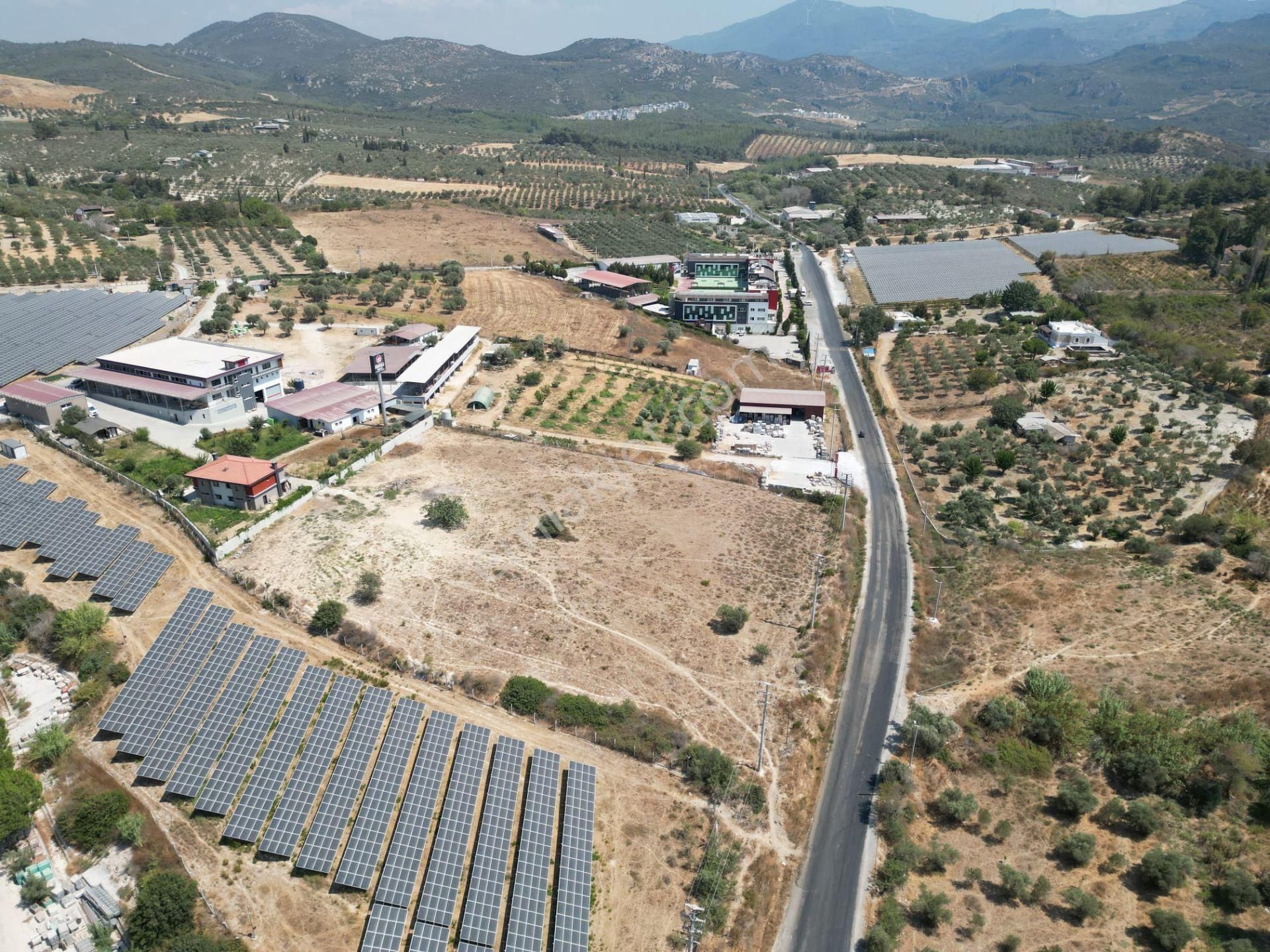 İmara Yakın-kısmi Manzaralı-merkeze 5 Dk Mesafede-yatırımlık Kacırılmayacak 12 Dönüm Zeytınlik - Görsel 30