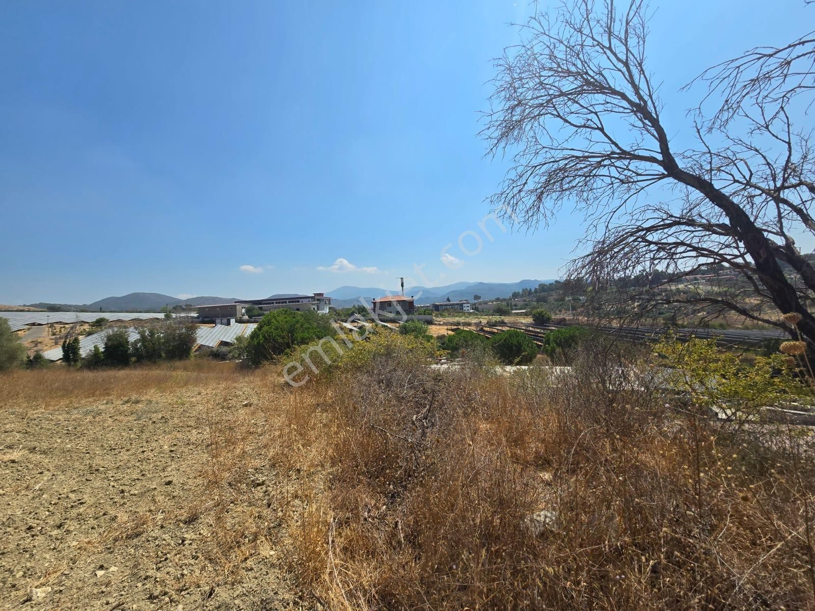 İmara Yakın-kısmi Manzaralı-merkeze 5 Dk Mesafede-yatırımlık Kacırılmayacak 12 Dönüm Zeytınlik - Görsel 28