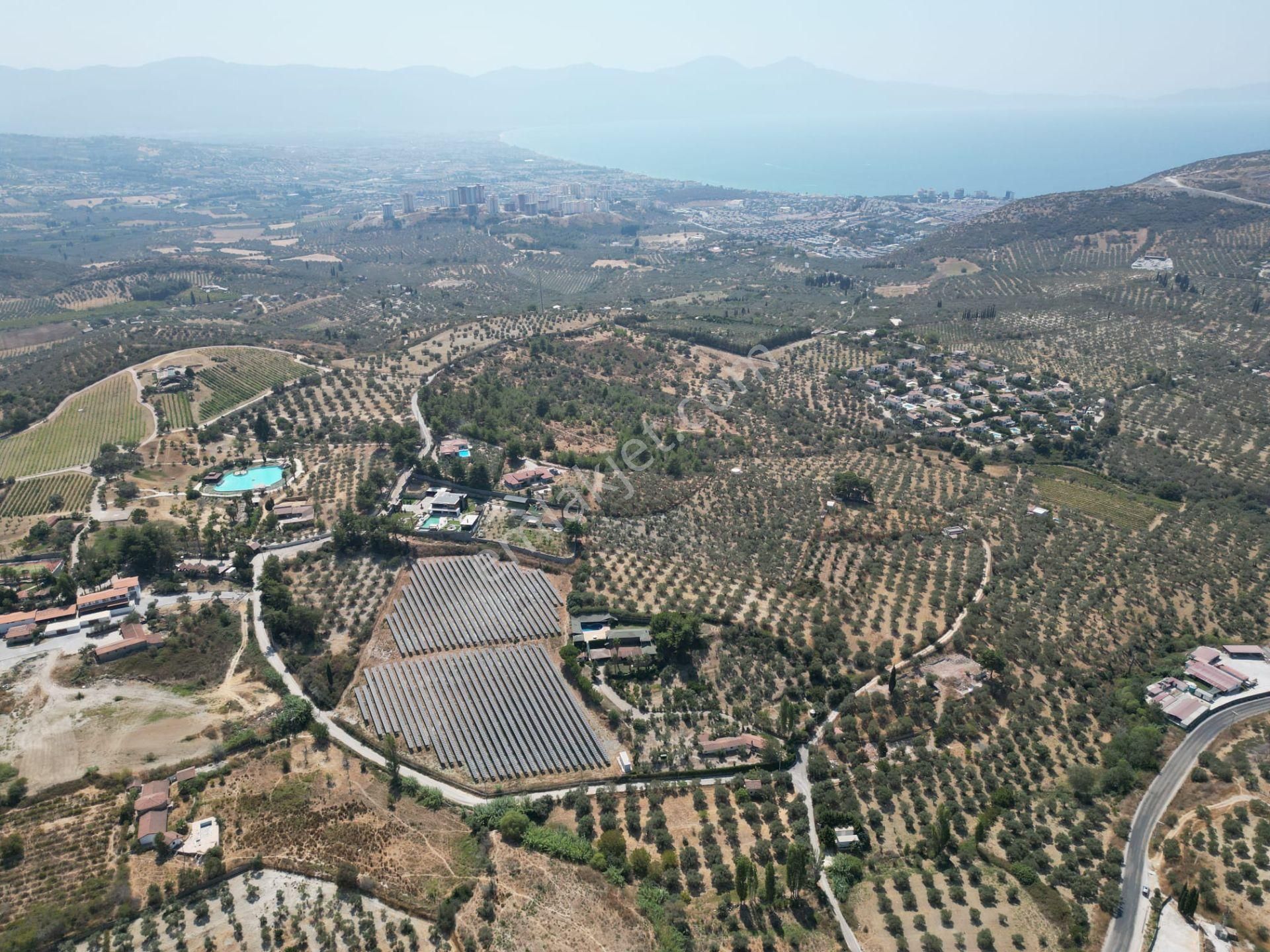 İmara Yakın-kısmi Manzaralı-merkeze 5 Dk Mesafede-yatırımlık Kacırılmayacak 12 Dönüm Zeytınlik - Görsel 10