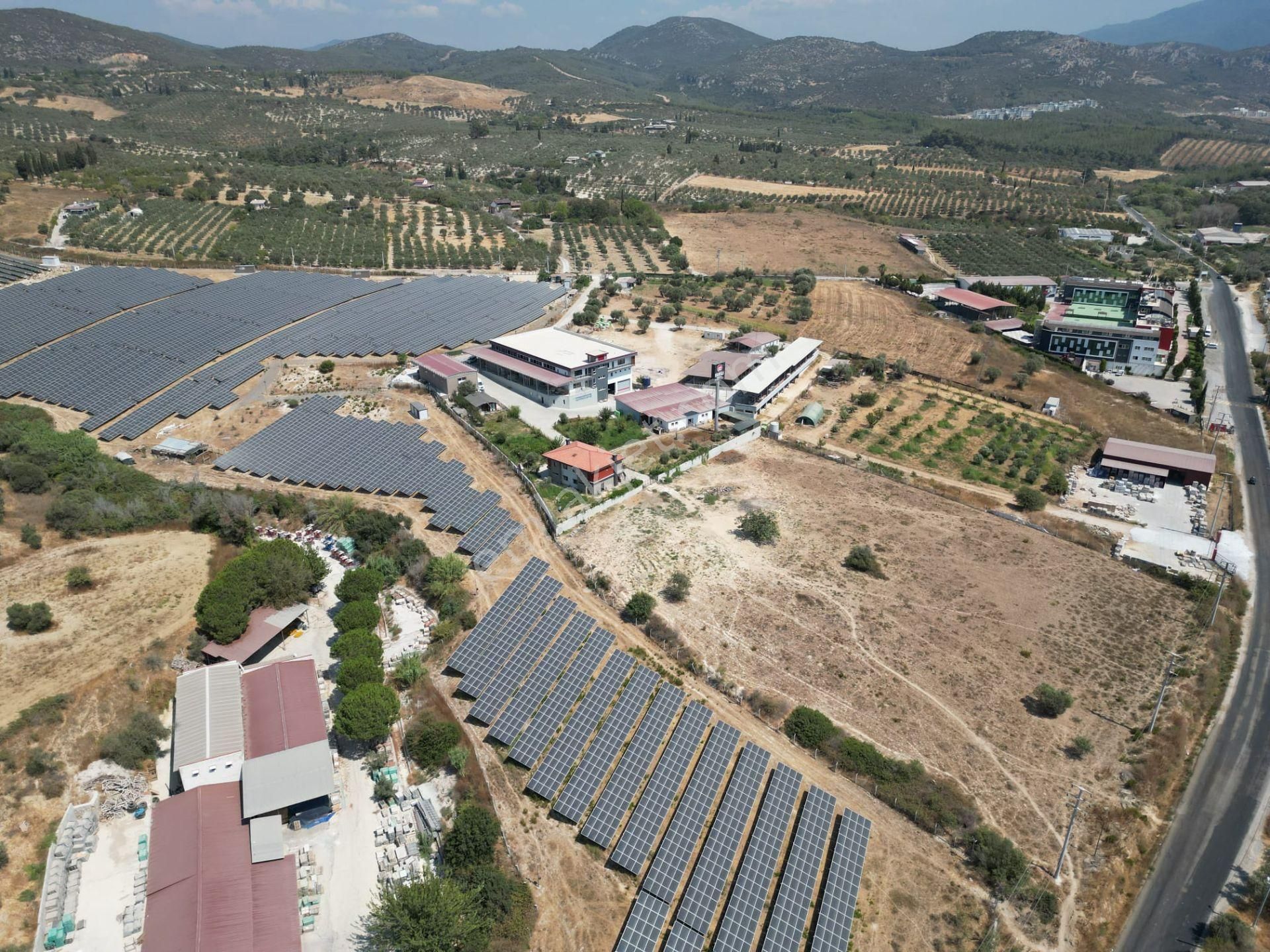 İmara Yakın-kısmi Manzaralı-merkeze 5 Dk Mesafede-yatırımlık Kacırılmayacak 12 Dönüm Zeytınlik - Görsel 14