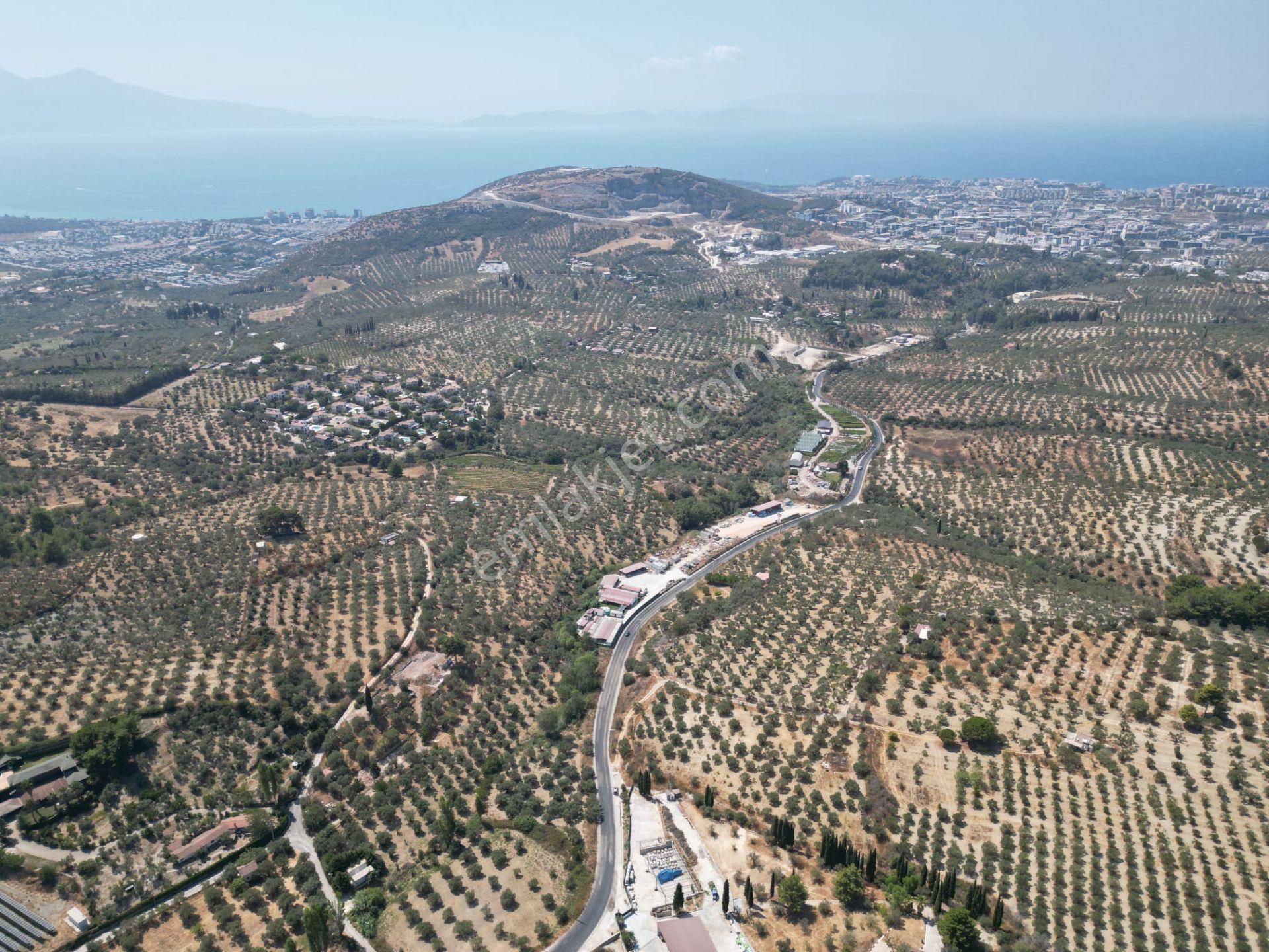 İmara Yakın-kısmi Manzaralı-merkeze 5 Dk Mesafede-yatırımlık Kacırılmayacak 12 Dönüm Zeytınlik - Görsel 9