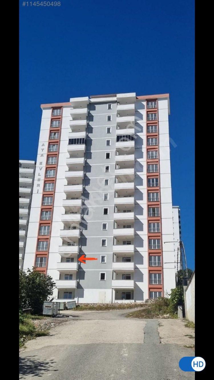 Fatsa Ayazlı Kiralık Daire Sahibinden kiralık sıfır daire