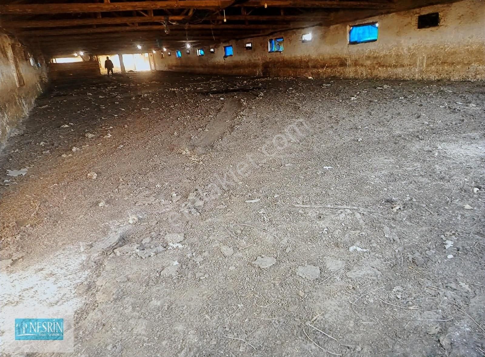 Küçükbaş, Büyükbaş Kanatlı Üretimi Ve Her Tür İmalat İçin Uygun - Görsel 15