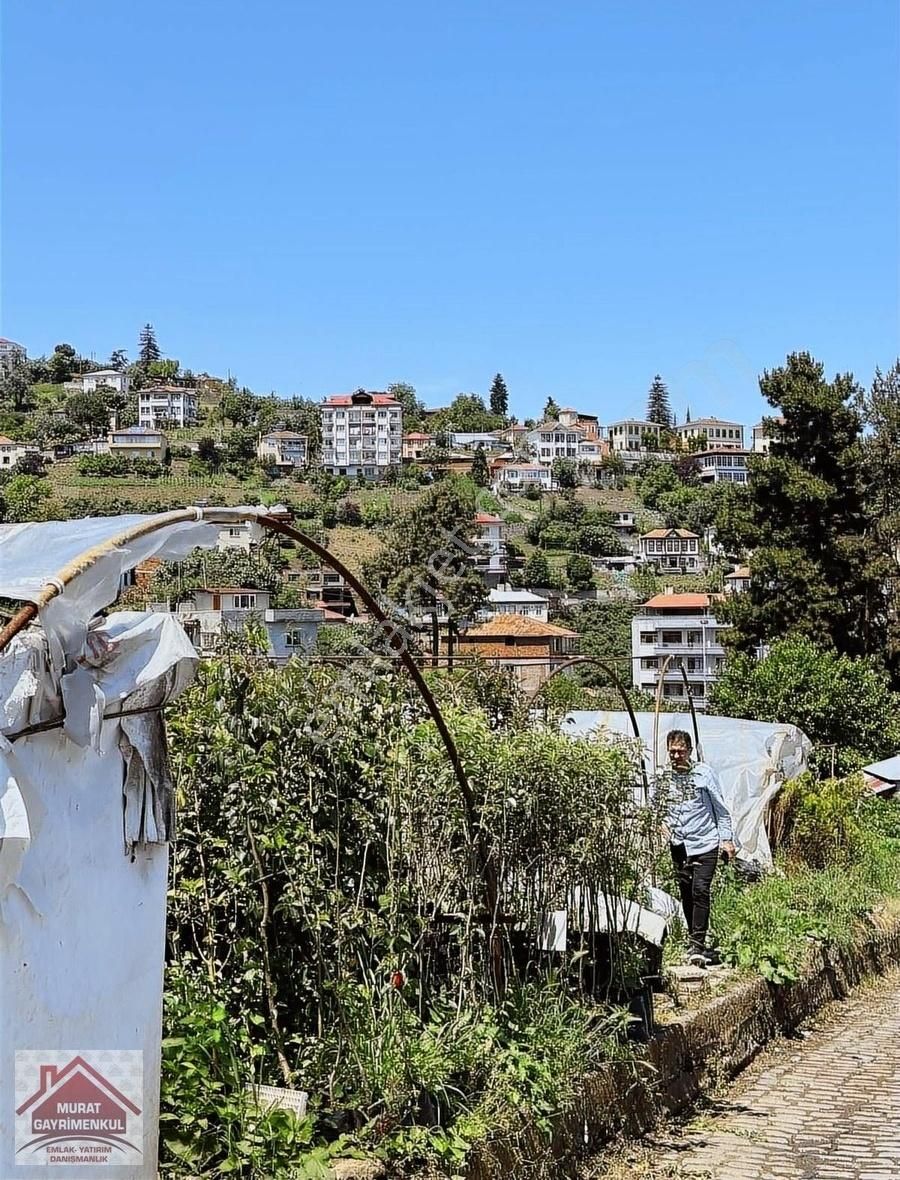 Akçaabat Dürbinar Satılık Konut İmarlı AKÇAABAT MERKEZDE SATILIK 1668 m2 YATIRIMLIK ARSA