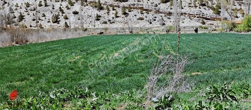 Başarakavakta Dere Kenarı Ve Yolu Olan 3068m2 Satılık Bahçe Yeri - Görsel 17