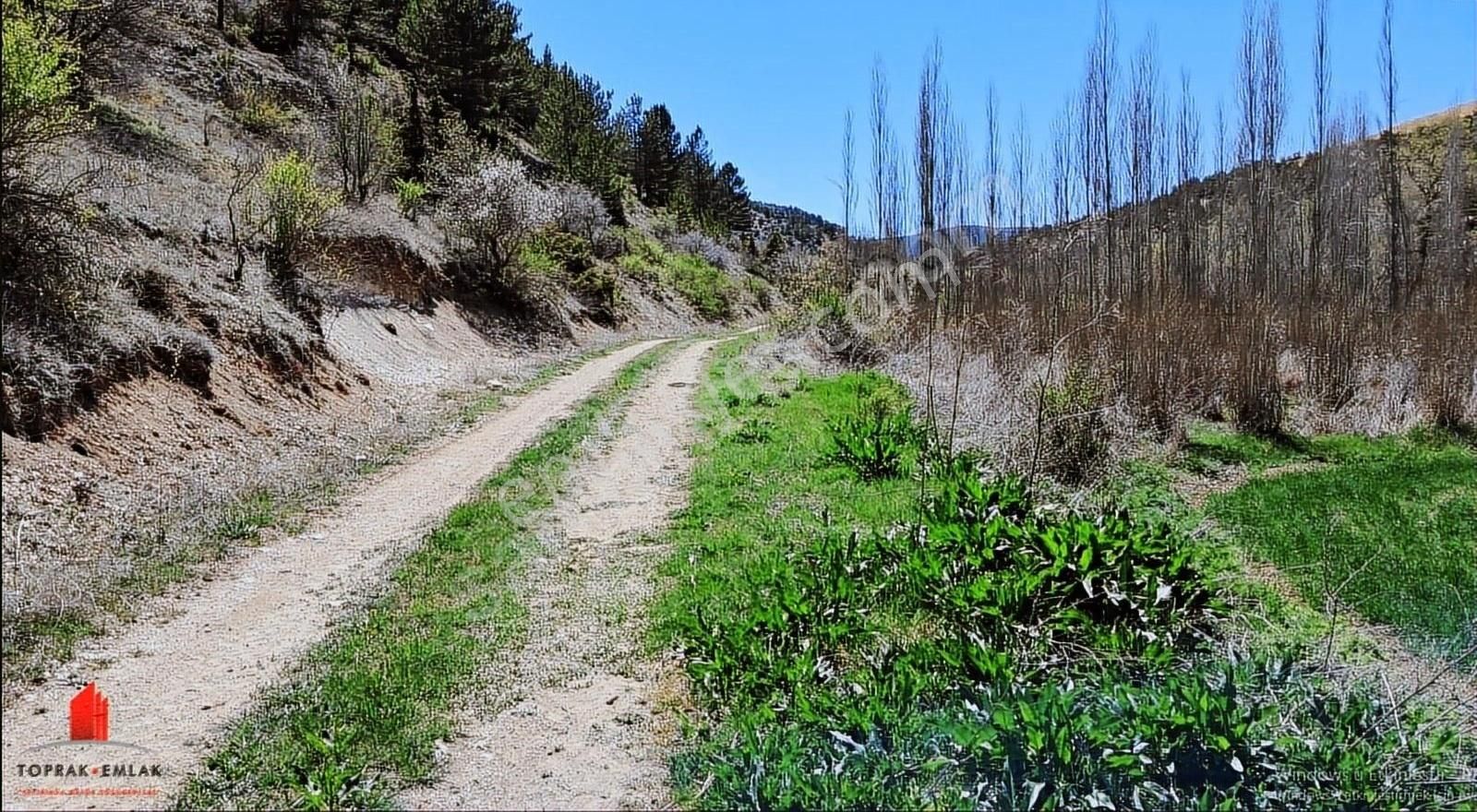 Başarakavakta Dere Kenarı Ve Yolu Olan 3068m2 Satılık Bahçe Yeri - Görsel 13