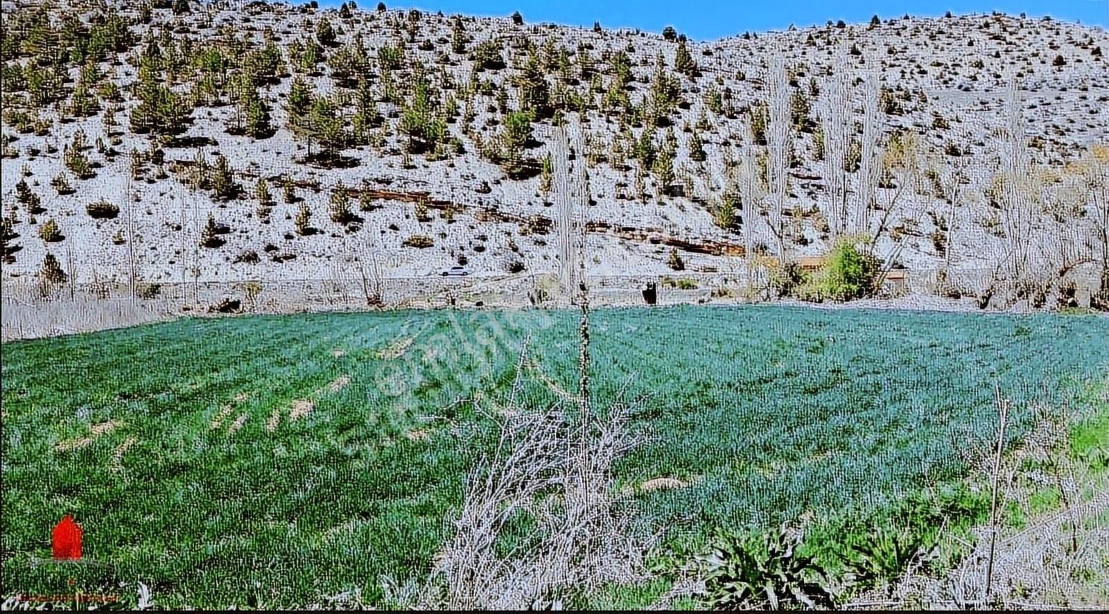 Başarakavakta Dere Kenarı Ve Yolu Olan 3068m2 Satılık Bahçe Yeri - Görsel 11