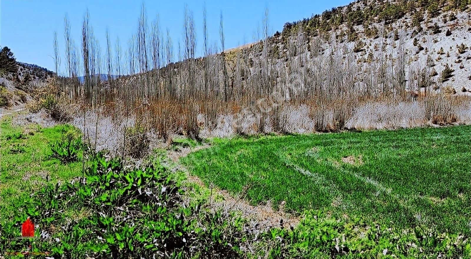 Başarakavakta Dere Kenarı Ve Yolu Olan 3068m2 Satılık Bahçe Yeri - Görsel 6