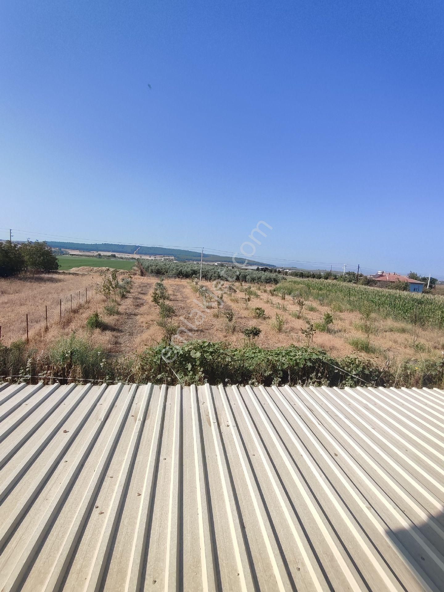 Satılık Tarla 3000m²
