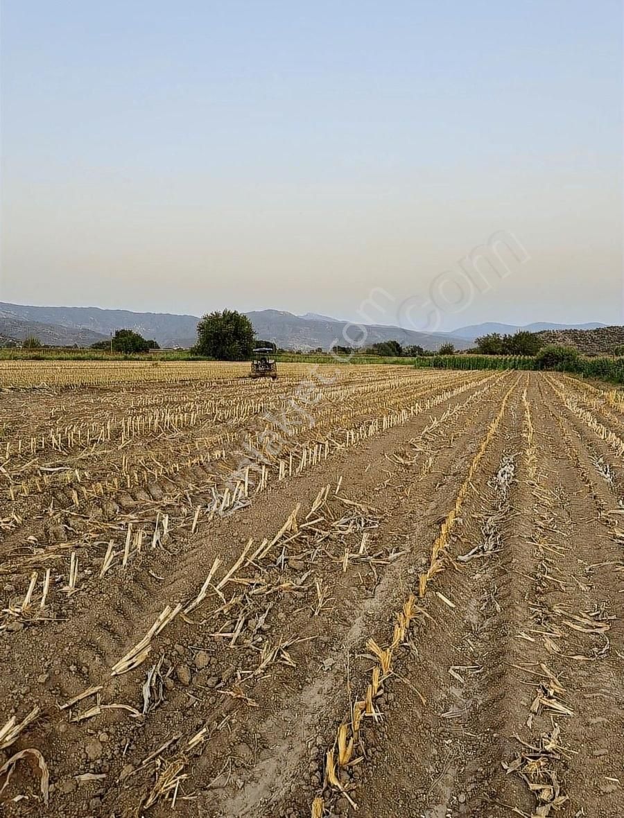 Milas Kafacada Mahalleye Yürüme Mesafesinde Fırsat Arazi - Görsel 14