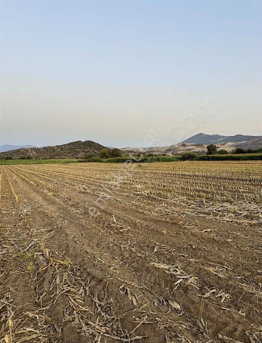 Milas Kafacada Mahalleye Yürüme Mesafesinde Fırsat Arazi - Görsel 13