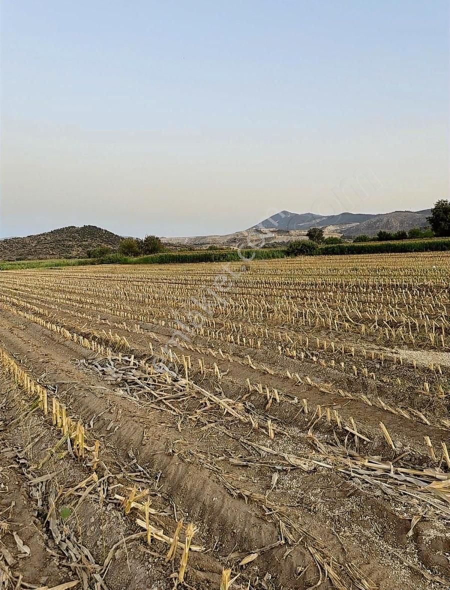 Milas Kafacada Mahalleye Yürüme Mesafesinde Fırsat Arazi - Görsel 15