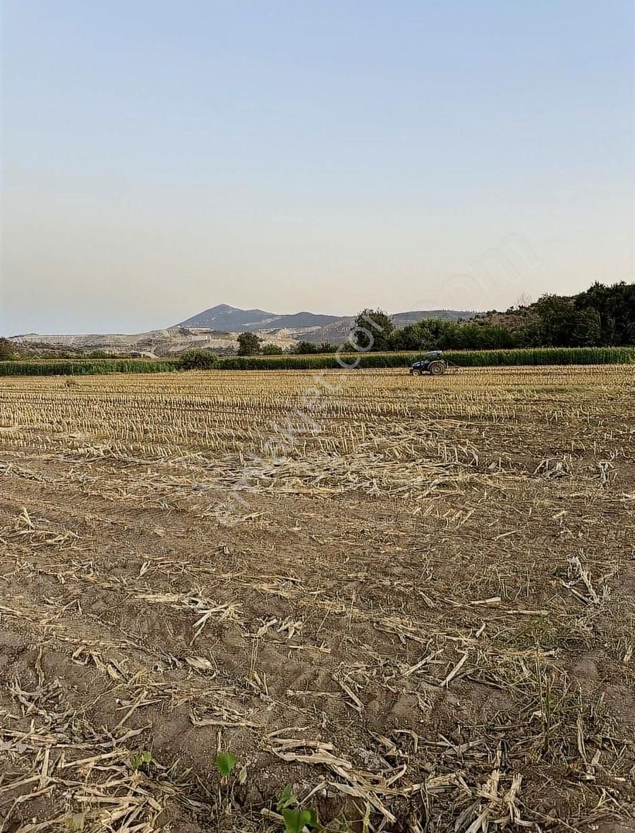 Milas Kafacada Mahalleye Yürüme Mesafesinde Fırsat Arazi - Görsel 7