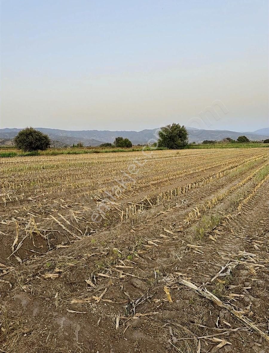 Milas Kafacada Mahalleye Yürüme Mesafesinde Fırsat Arazi - Görsel 12