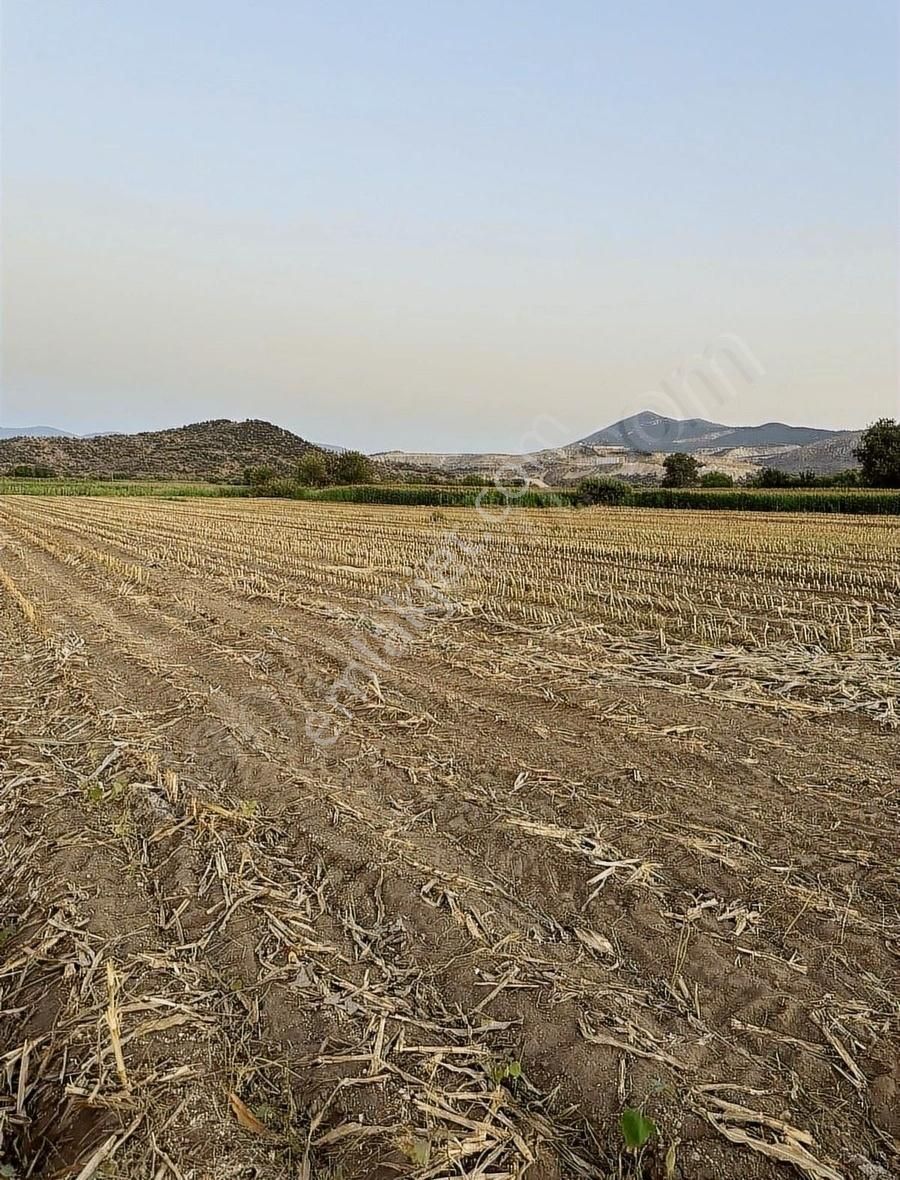 Milas Kafacada Mahalleye Yürüme Mesafesinde Fırsat Arazi - Görsel 3