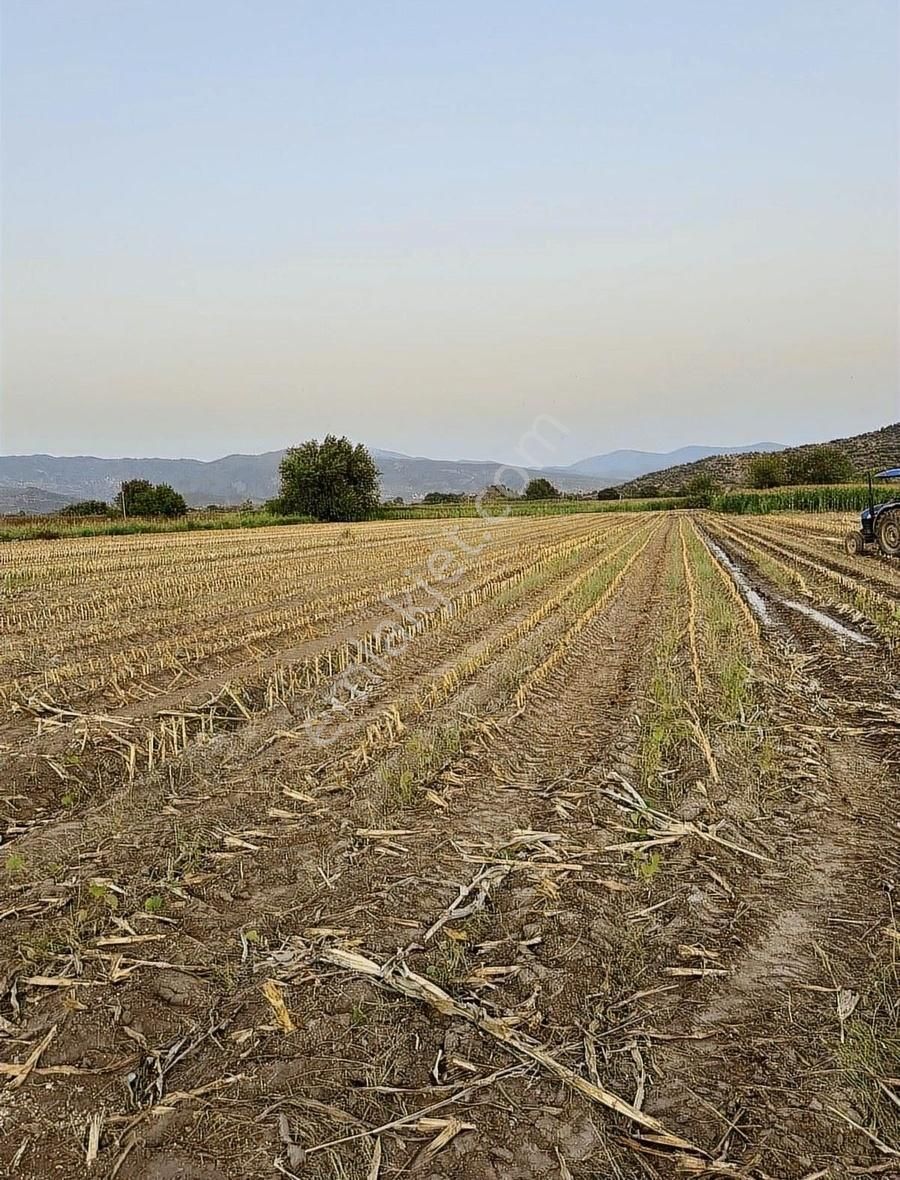 Milas Kafacada Mahalleye Yürüme Mesafesinde Fırsat Arazi - Görsel 16