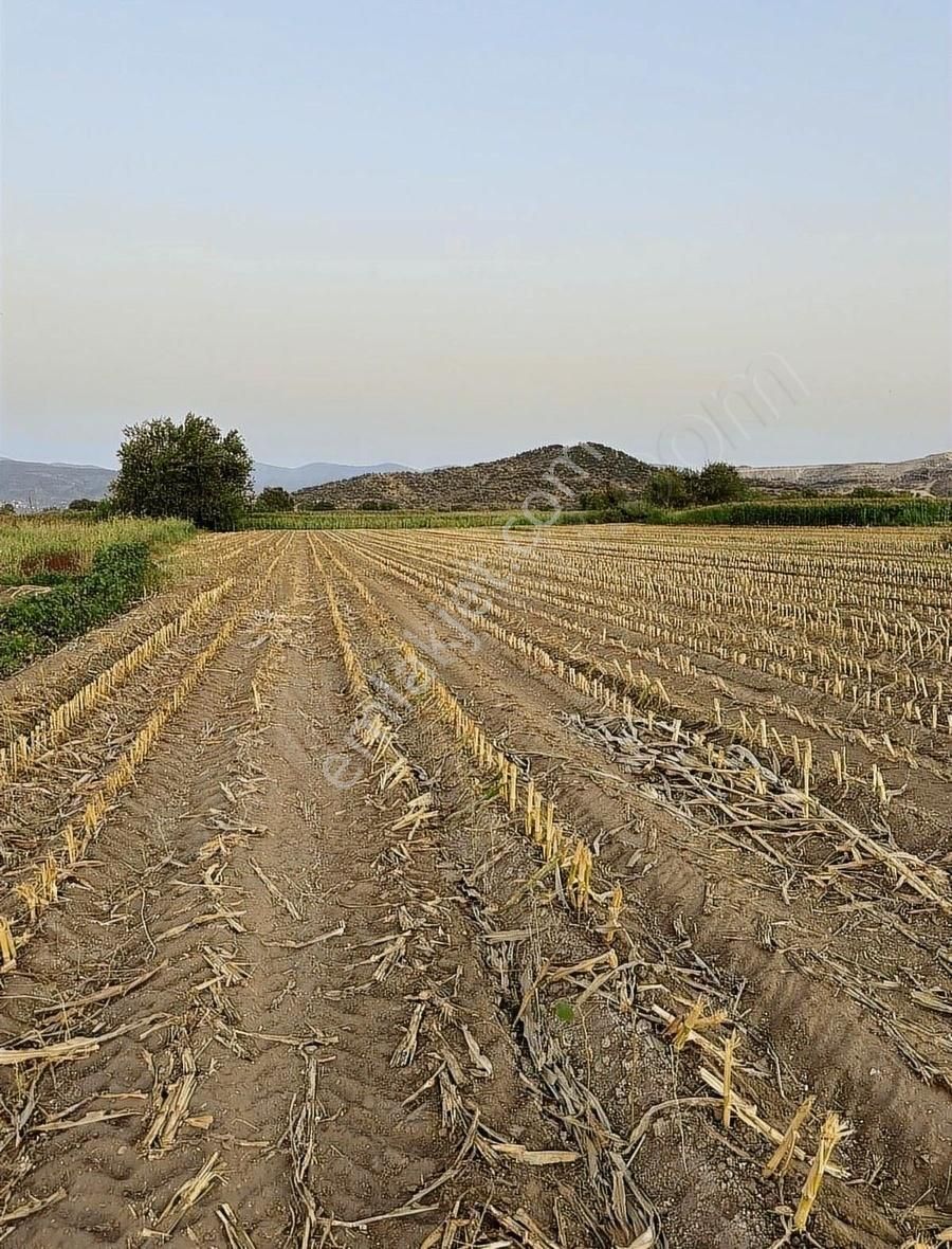 Milas Kafacada Mahalleye Yürüme Mesafesinde Fırsat Arazi - Görsel 11