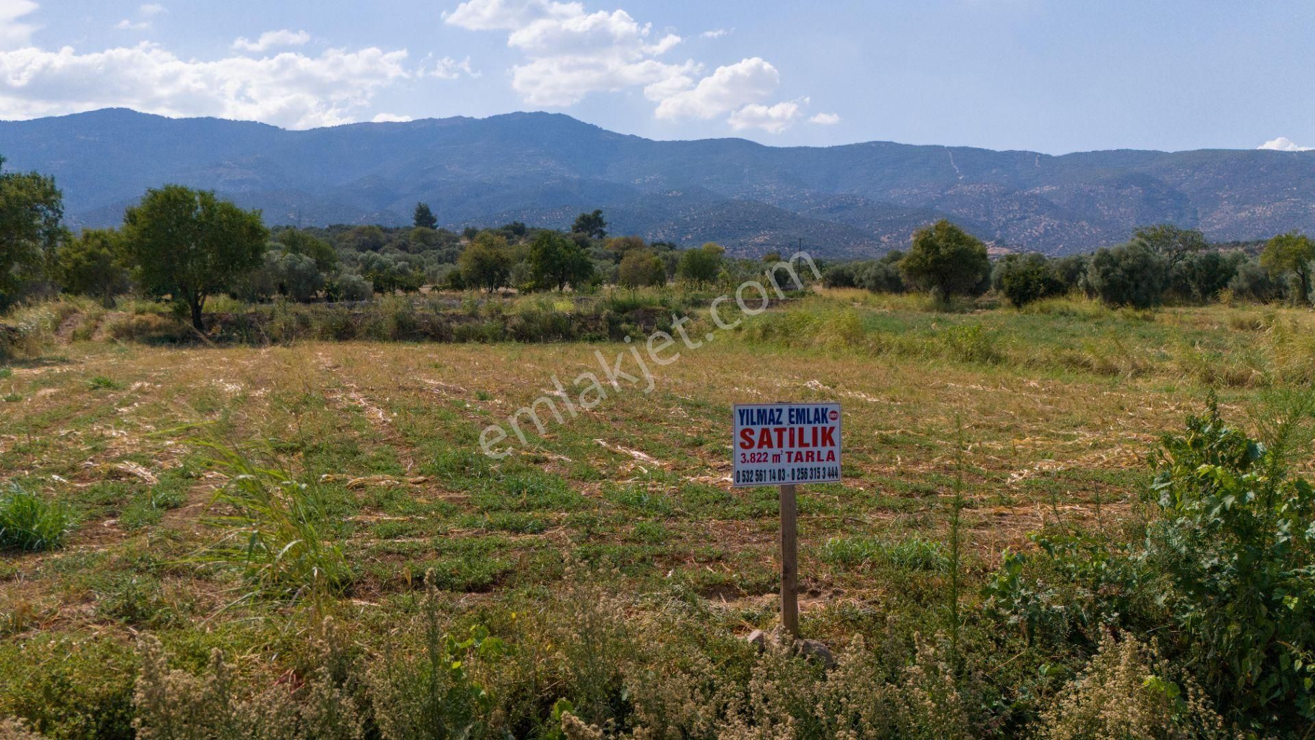 Bozdoğan Kılavuzlar Satılık Tarla  BOZDOĞAN KILAVUZLAR MAHALLESİNDE SATILIK 3.822 m² TARLA