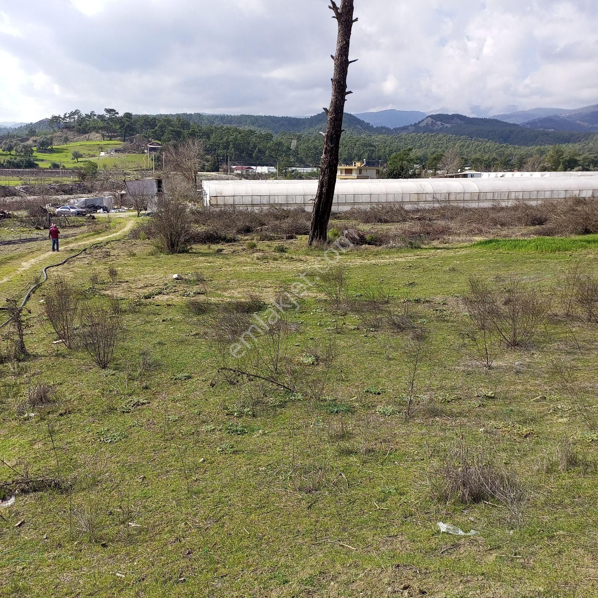 Antalya Kaş Satılık Tarla Dirgenler - Görsel 11