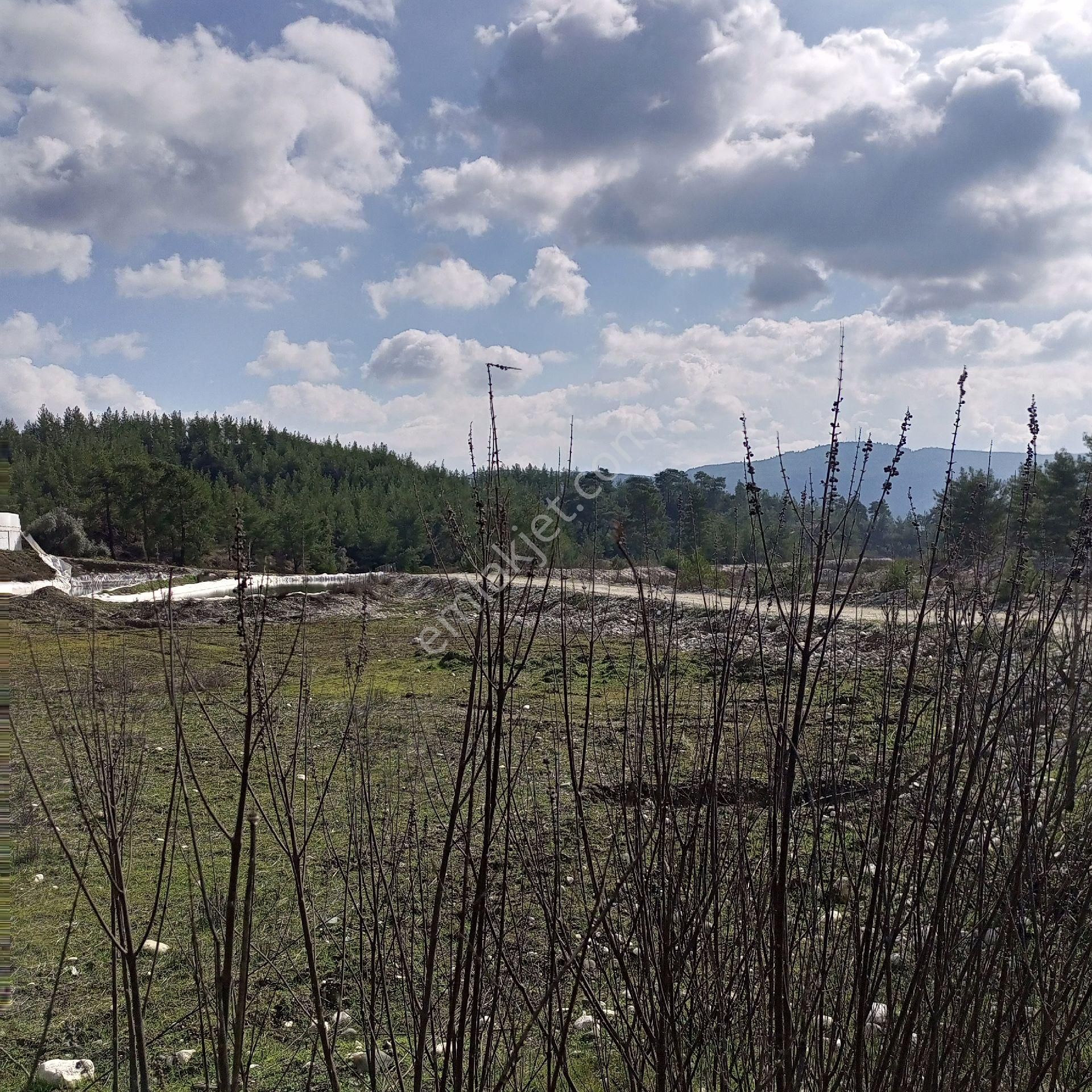 Antalya Kaş Satılık Tarla Dirgenler - Görsel 16