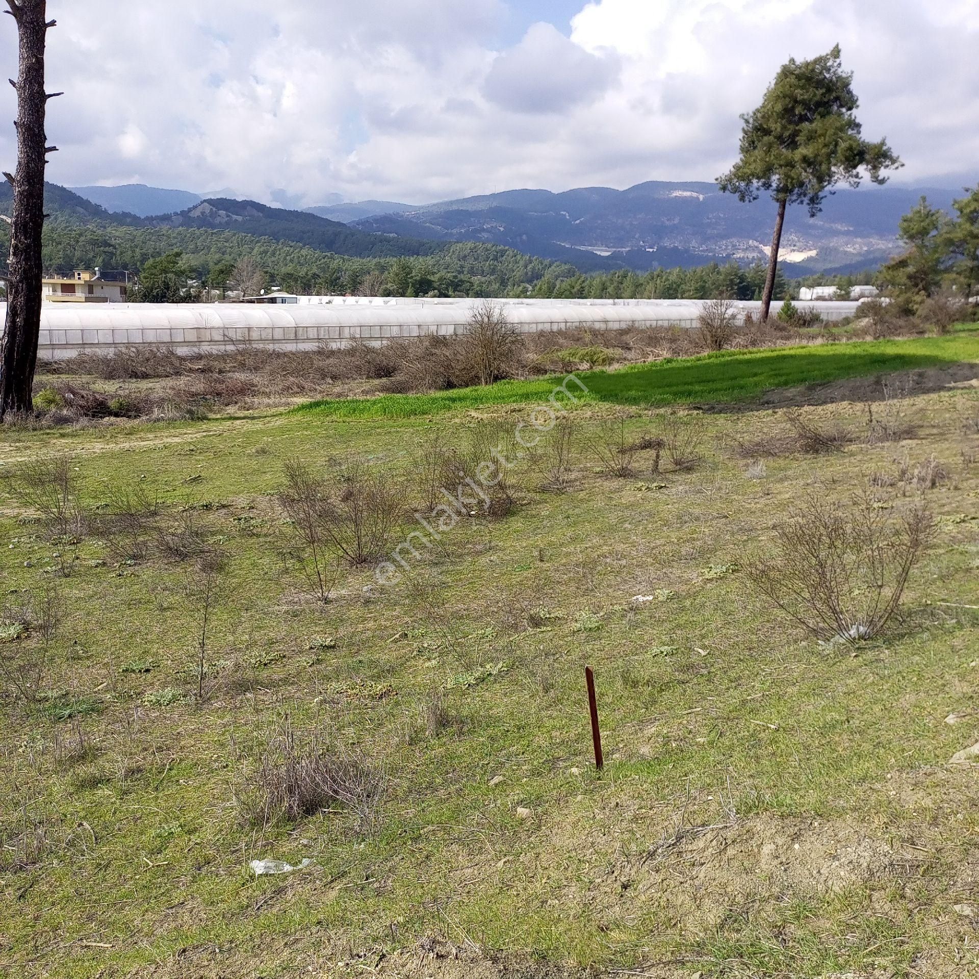 Antalya Kaş Satılık Tarla Dirgenler - Görsel 8