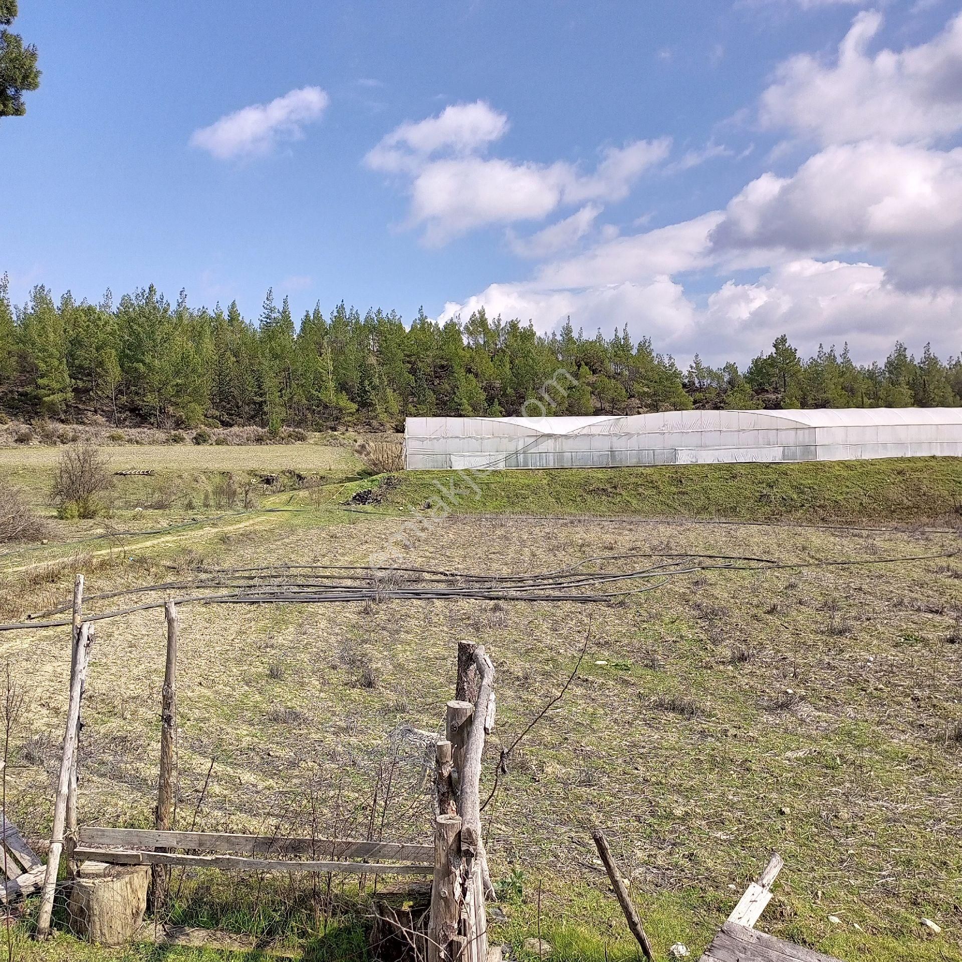 Antalya Kaş Satılık Tarla Dirgenler - Görsel 19