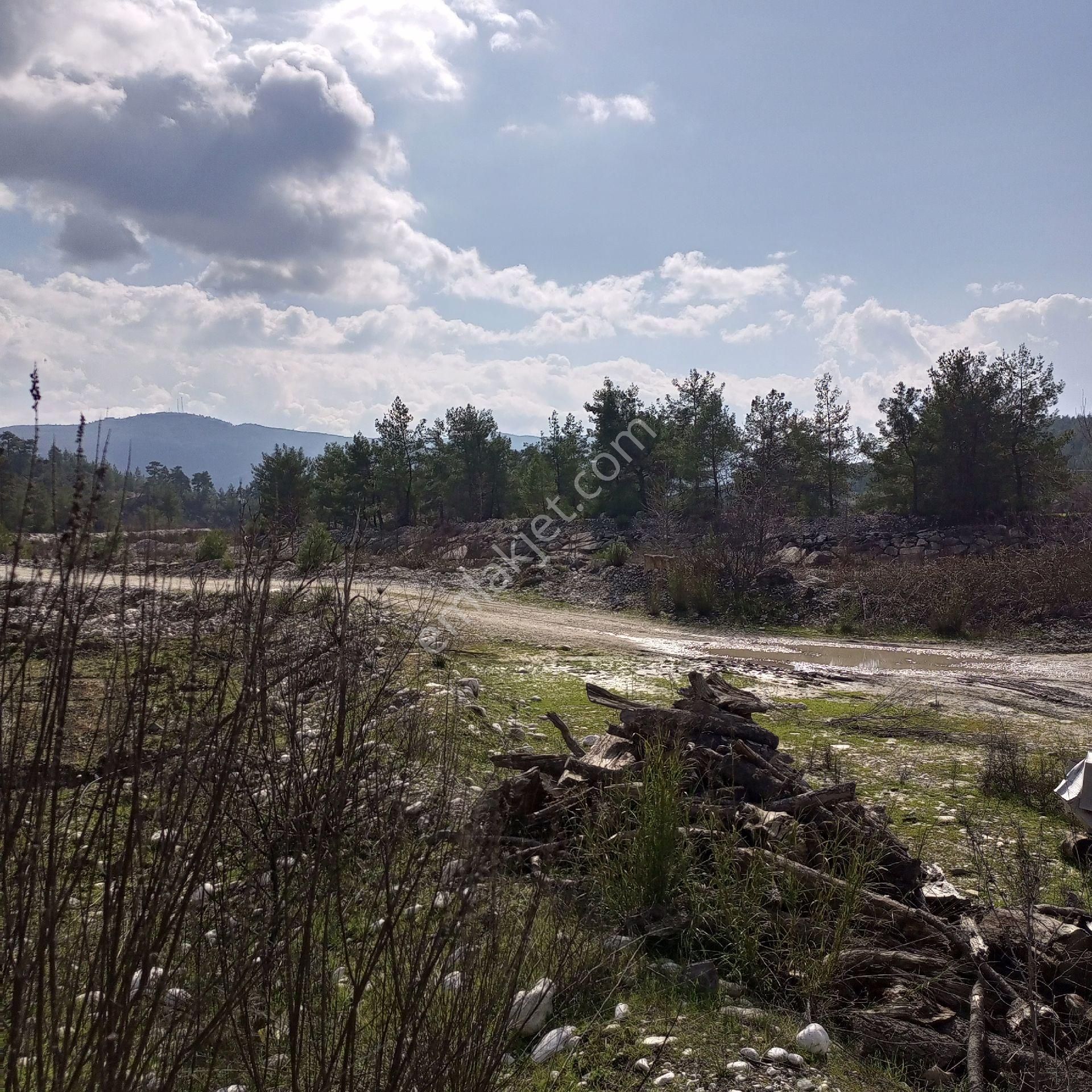 Antalya Kaş Satılık Tarla Dirgenler - Görsel 17