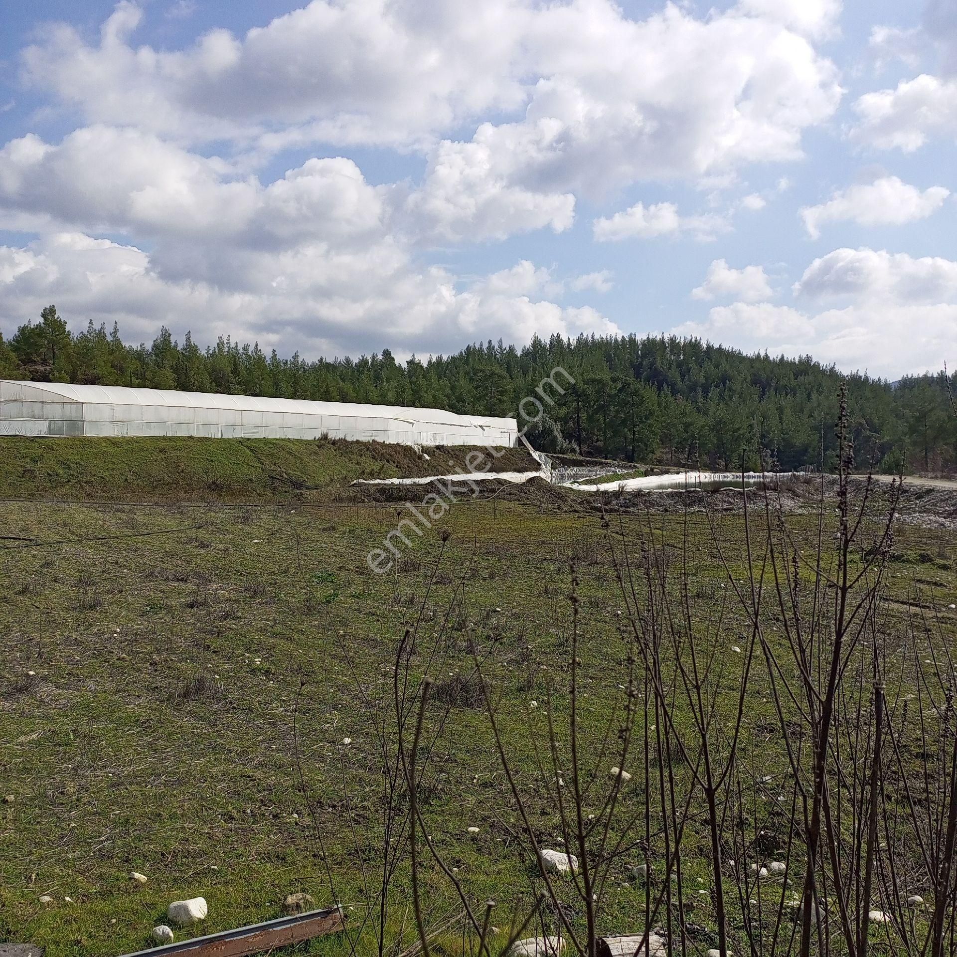 Antalya Kaş Satılık Tarla Dirgenler - Görsel 15
