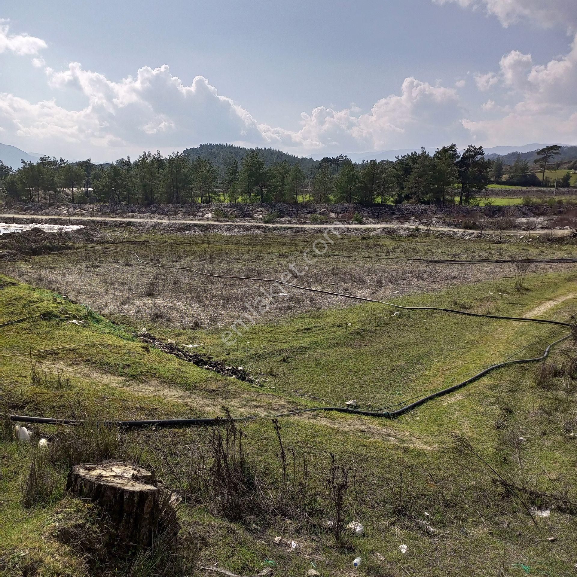 Antalya Kaş Satılık Tarla Dirgenler - Görsel 10