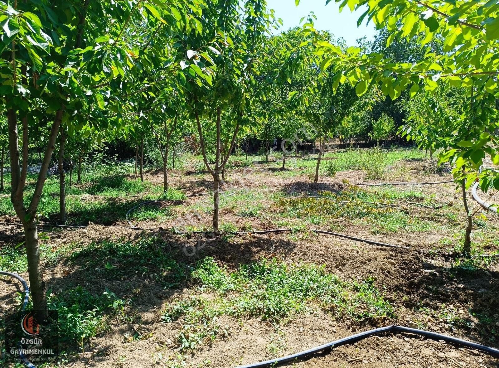 Yeşilyurt Mullakasım Satılık Konut İmarlı ÖZGÜRDEN YEŞİLYURT MOLLAKASIMDA 1 DÖNÜM VİLLA İMARLI HARİKA ARSA