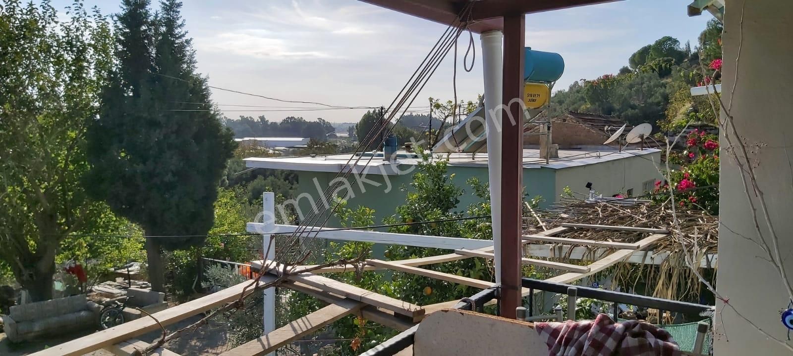 Aydın Söke Mimarsan Emlaktan Güllübahçe Beldesinde Satılık Müstakil Avlulu Taş Ev - Görsel 6