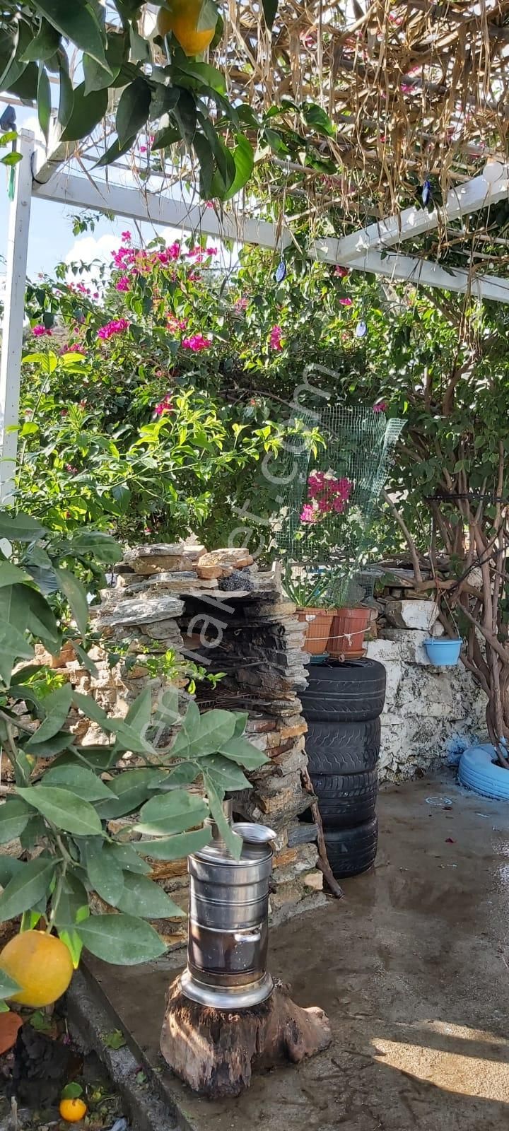 Aydın Söke Mimarsan Emlaktan Güllübahçe Beldesinde Satılık Müstakil Avlulu Taş Ev - Görsel 29