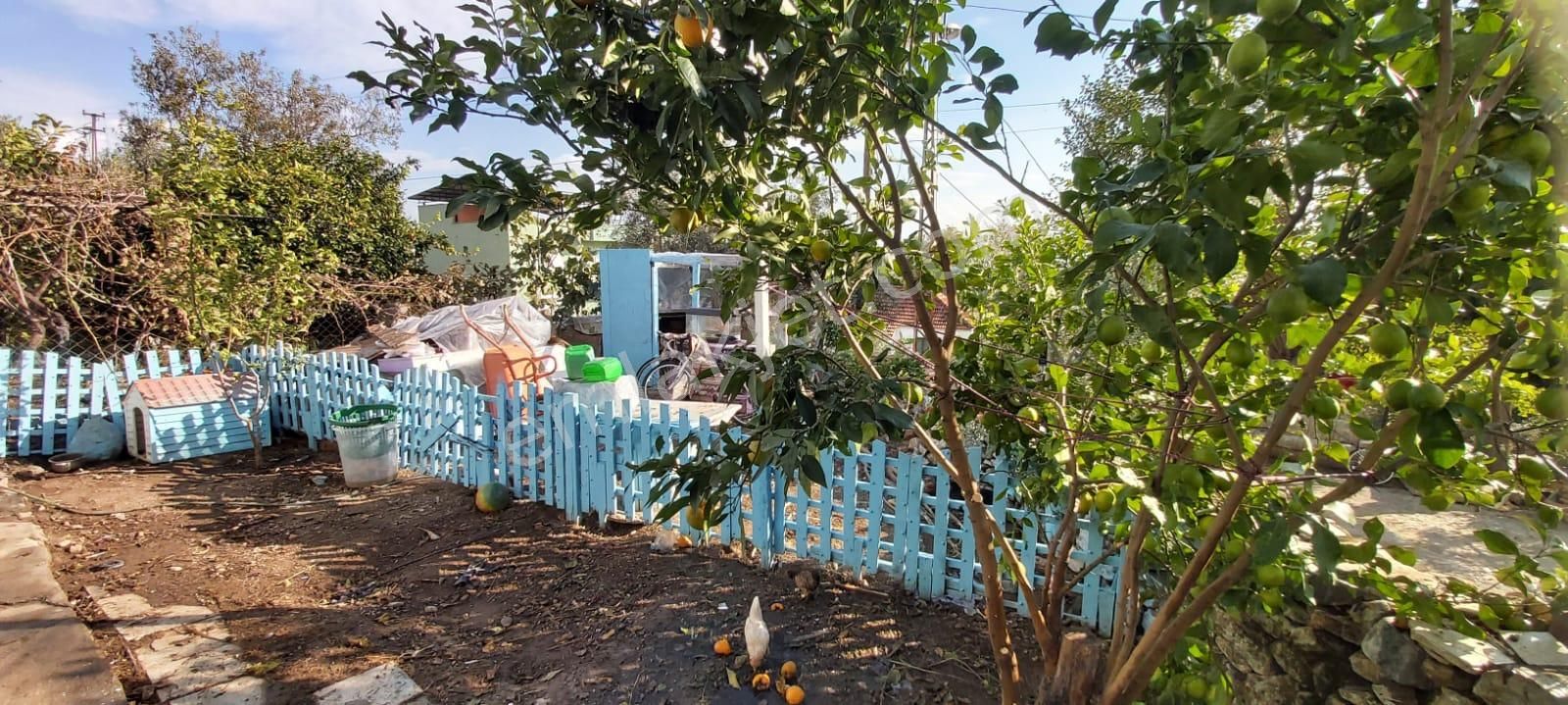 Aydın Söke Mimarsan Emlaktan Güllübahçe Beldesinde Satılık Müstakil Avlulu Taş Ev - Görsel 32