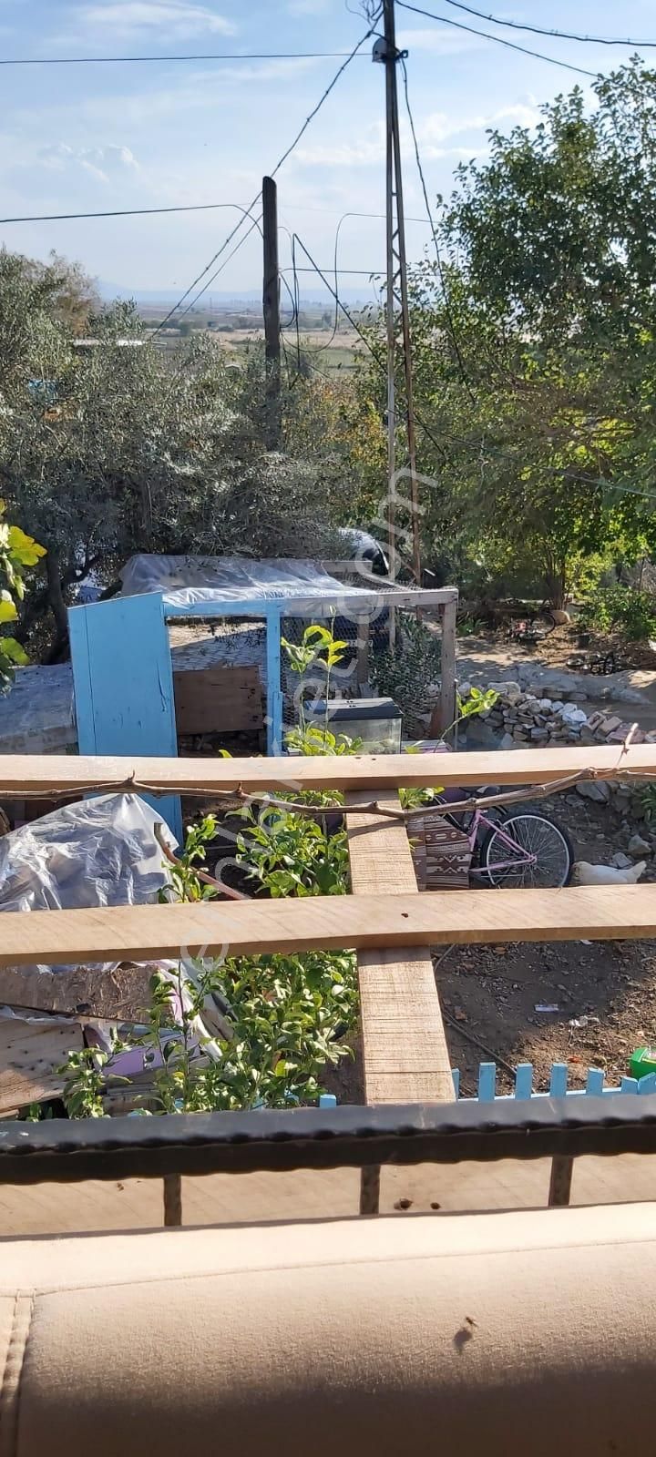 Aydın Söke Mimarsan Emlaktan Güllübahçe Beldesinde Satılık Müstakil Avlulu Taş Ev - Görsel 4