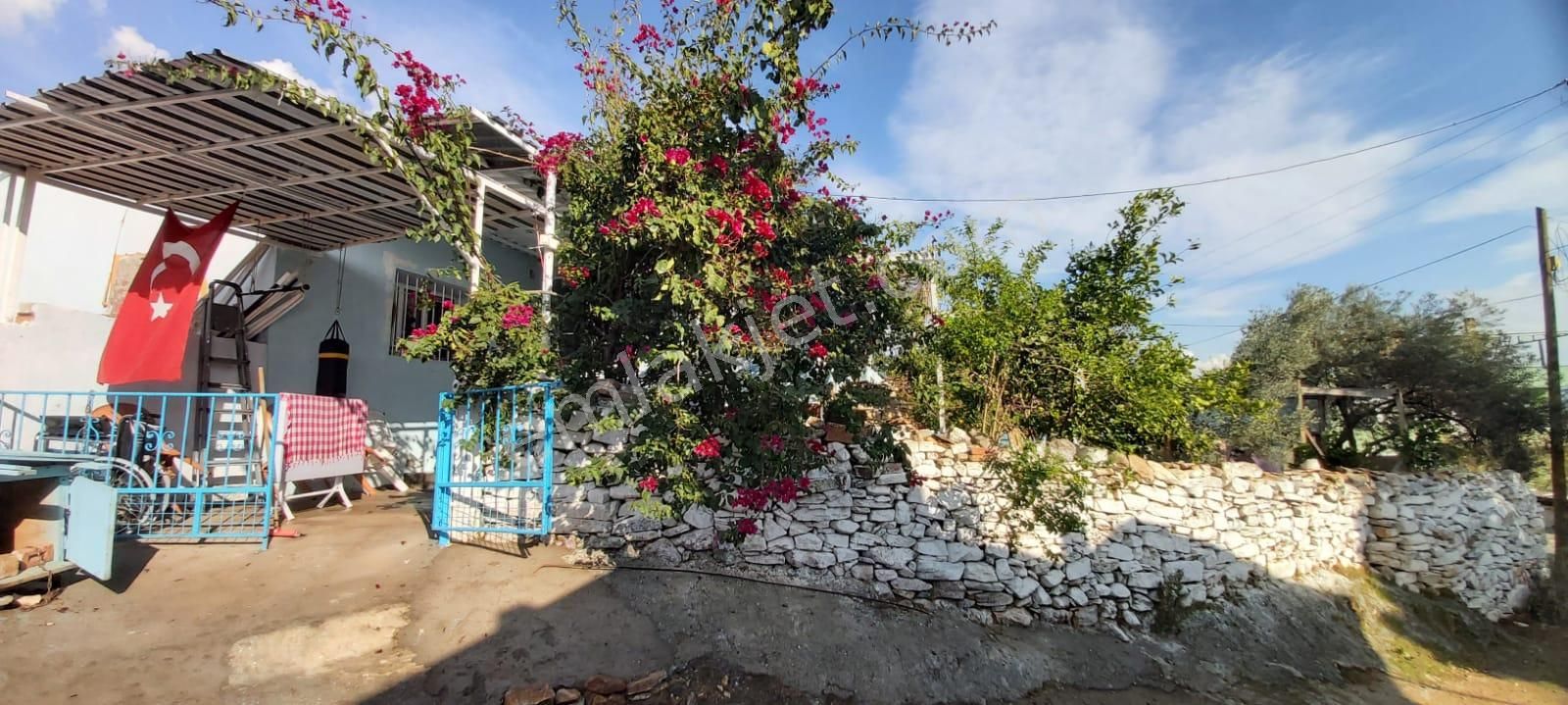 Aydın Söke Mimarsan Emlaktan Güllübahçe Beldesinde Satılık Müstakil Avlulu Taş Ev - Görsel 25