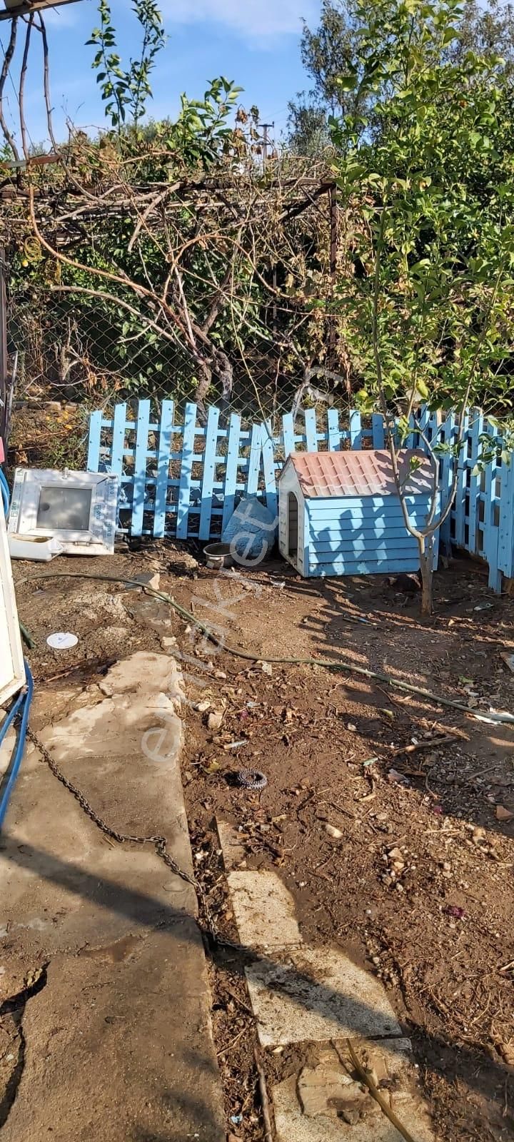 Aydın Söke Mimarsan Emlaktan Güllübahçe Beldesinde Satılık Müstakil Avlulu Taş Ev - Görsel 33