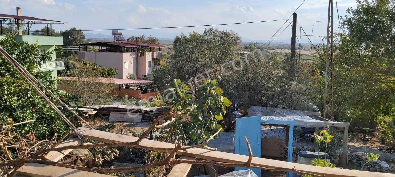 Aydın Söke Mimarsan Emlaktan Güllübahçe Beldesinde Satılık Müstakil Avlulu Taş Ev - Görsel 8