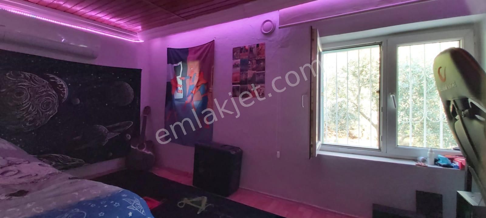 Aydın Söke Mimarsan Emlaktan Güllübahçe Beldesinde Satılık Müstakil Avlulu Taş Ev - Görsel 13