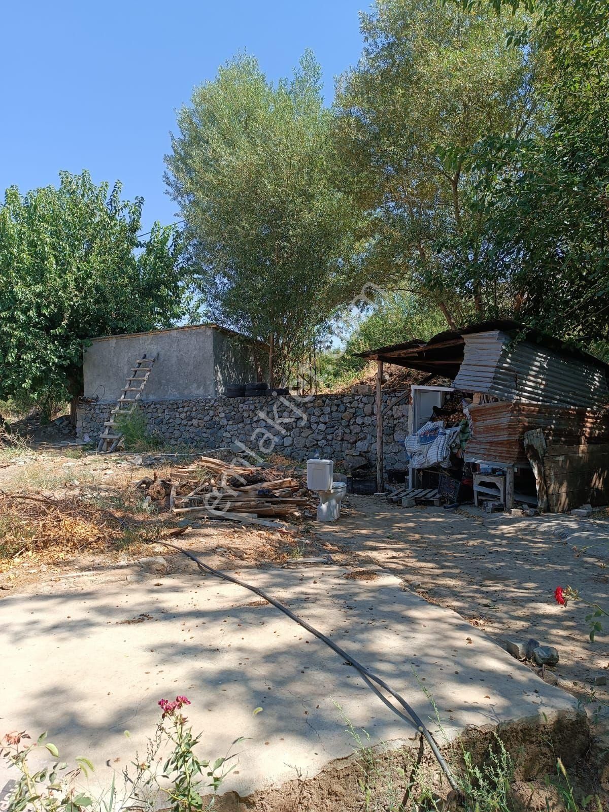 Elazığ Merkez Şeyhhacı Köyü (Yukarı Bağ) Satılık Bağ & Bahçe TEPE EMLAK GAYRİMENKUL DEN SATILIK BAĞ BAHÇE 