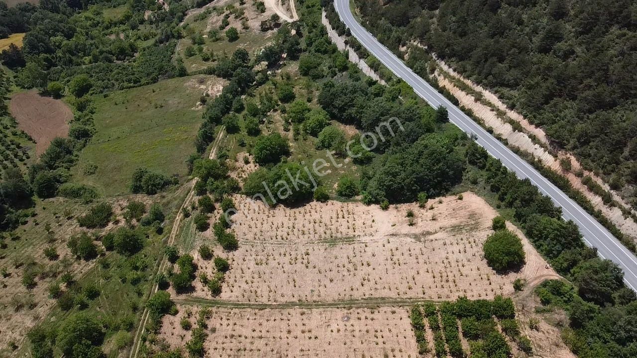 Asfalt Üzeri 5.500m2 Arsa - Görsel 4